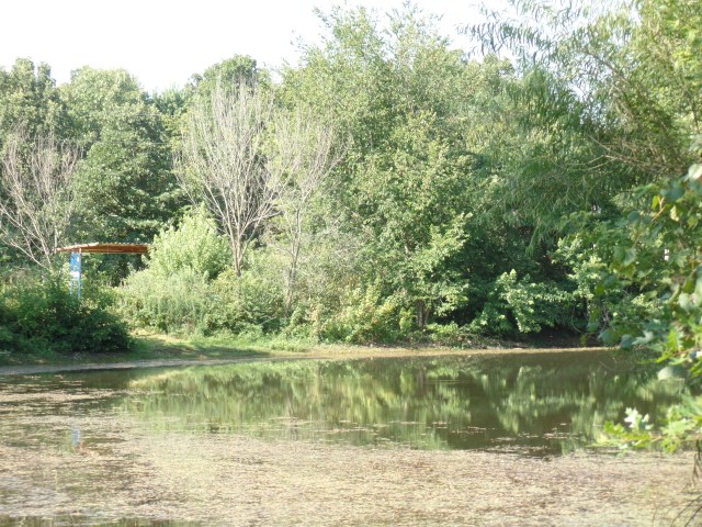 SAMSUNG CAMERA PICTURES