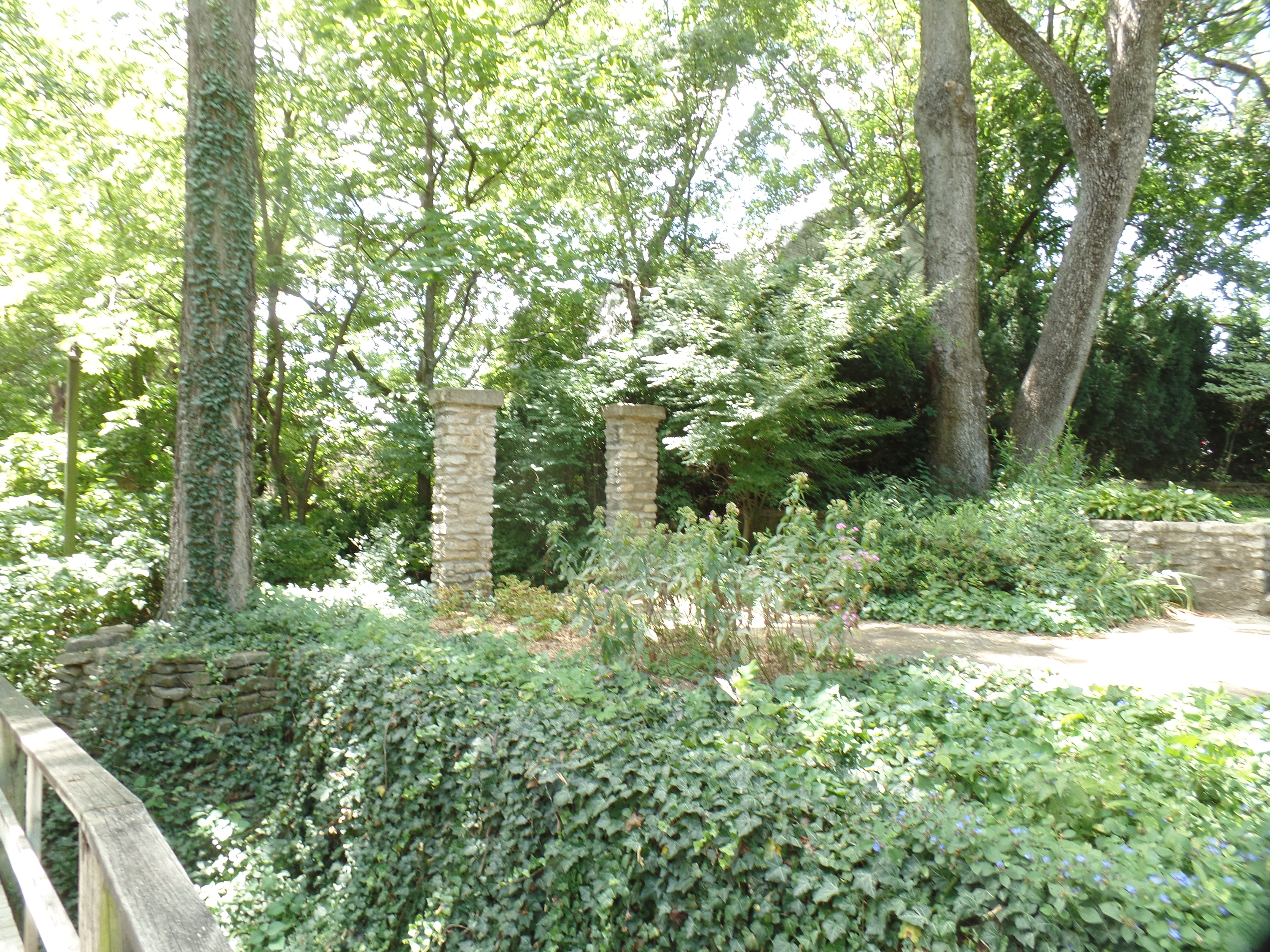 SAMSUNG CAMERA PICTURES