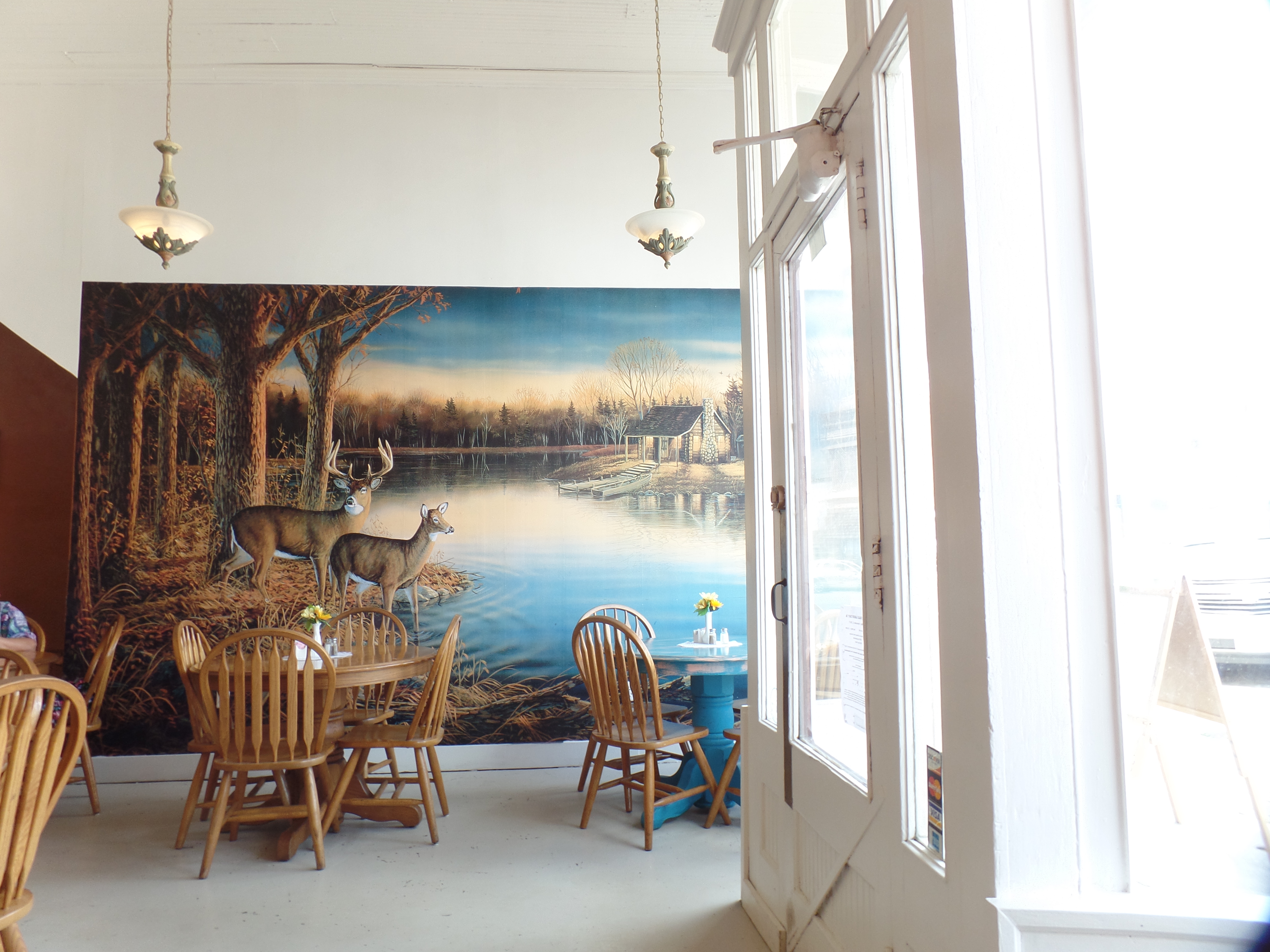 SAMSUNG CAMERA PICTURES