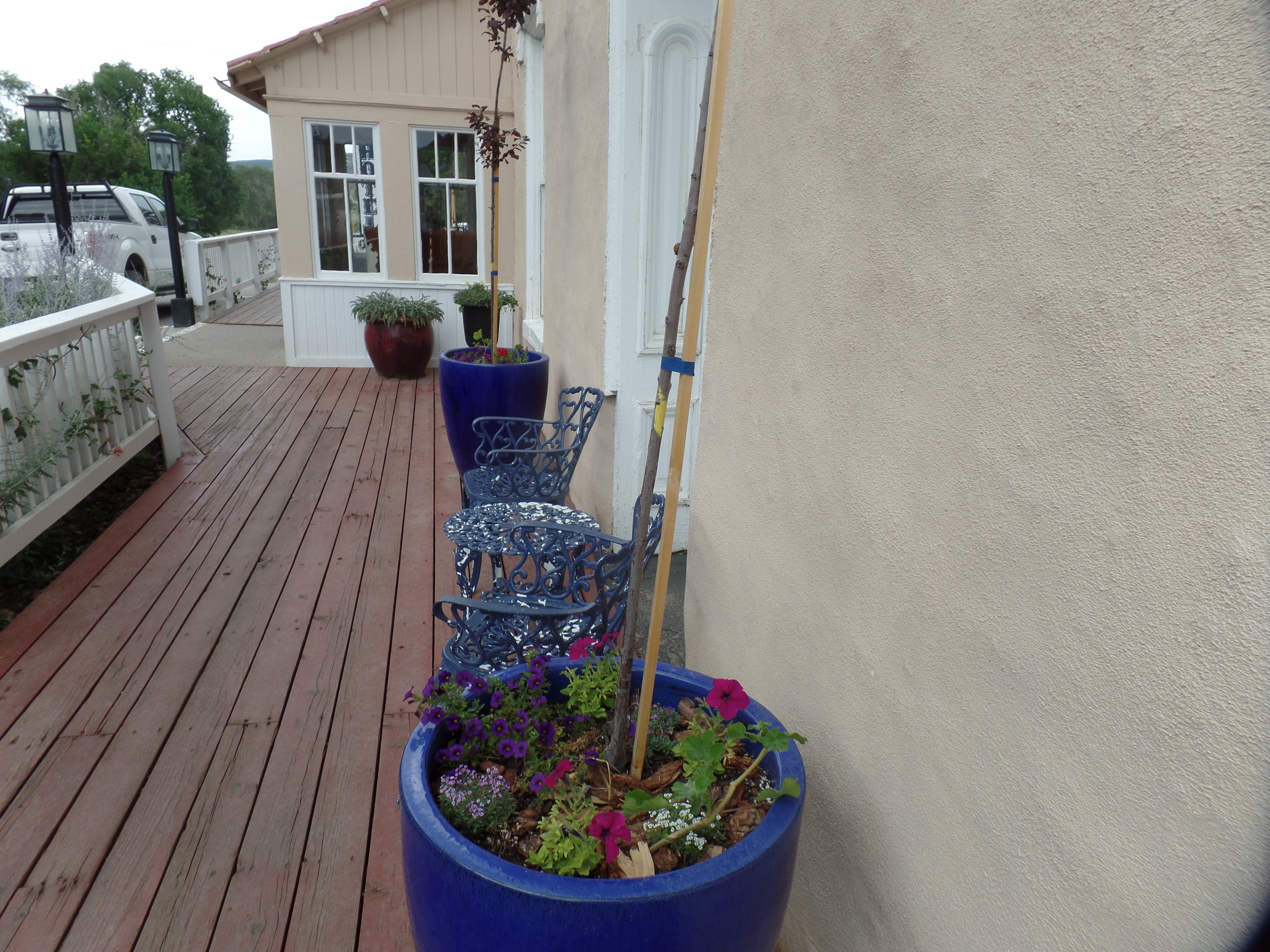 SAMSUNG CAMERA PICTURES