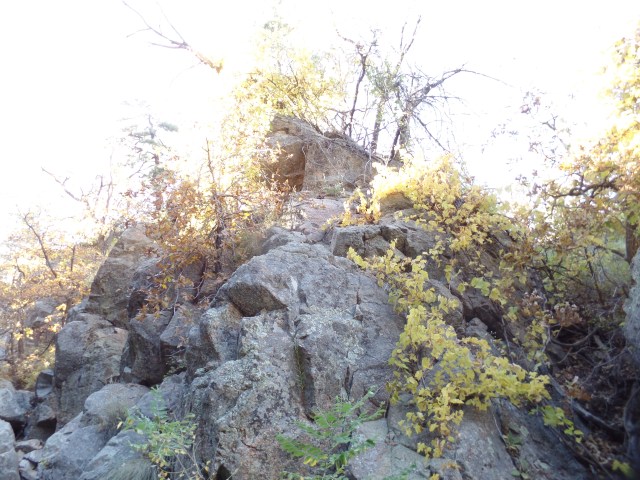 SAMSUNG CAMERA PICTURES