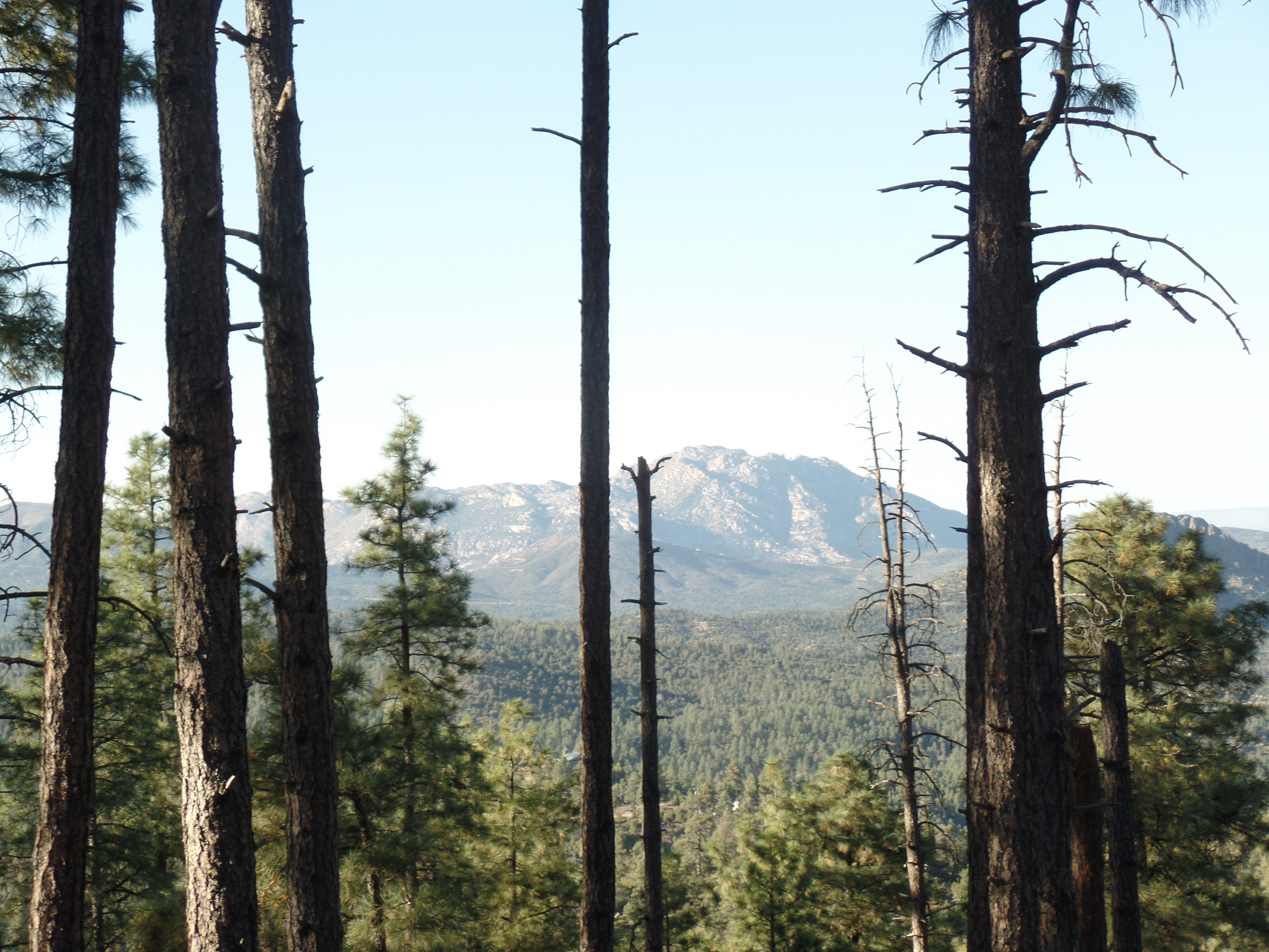 SAMSUNG CAMERA PICTURES