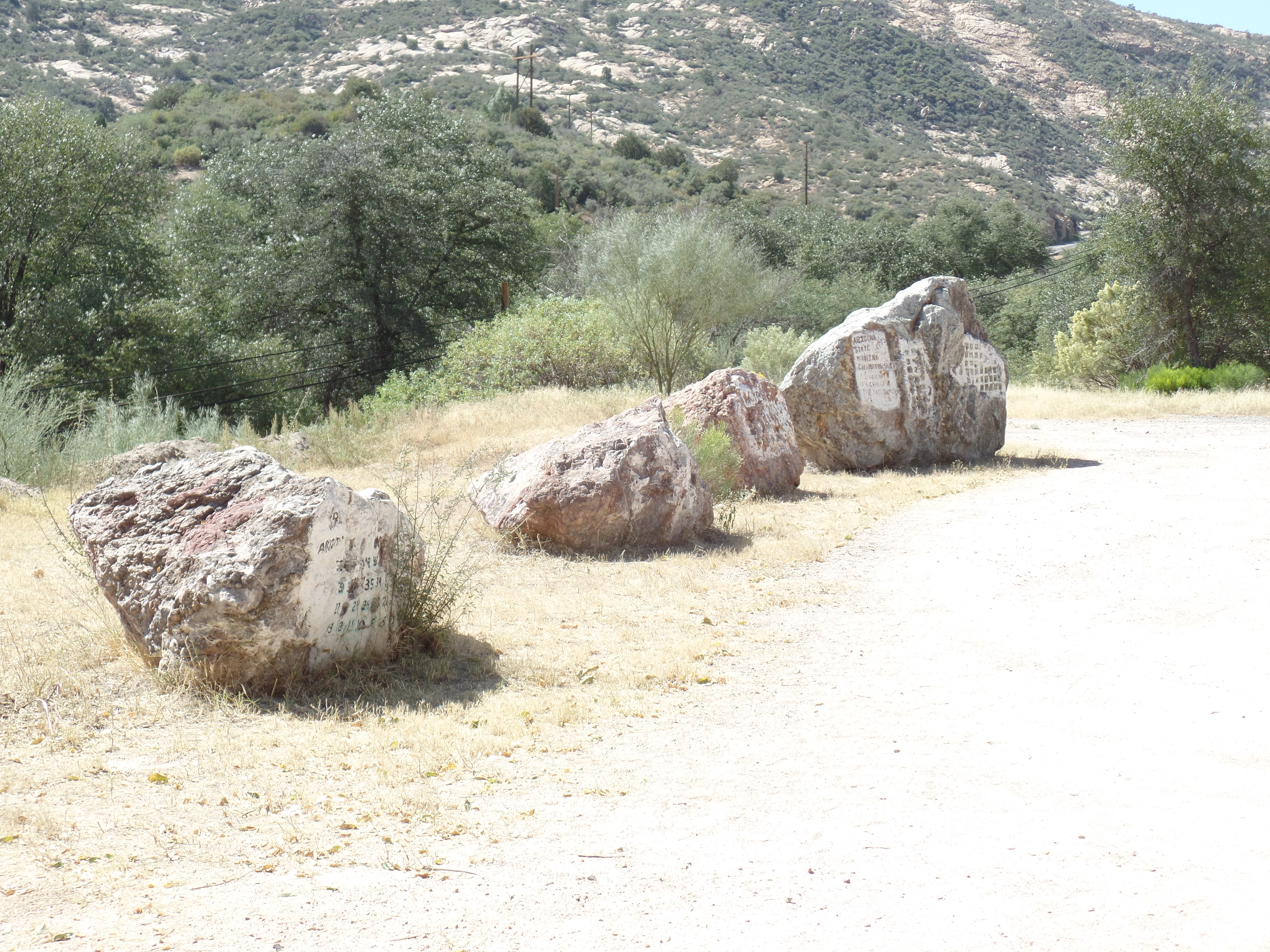 SAMSUNG CAMERA PICTURES