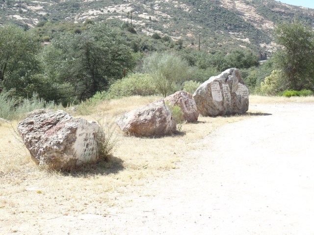 SAMSUNG CAMERA PICTURES