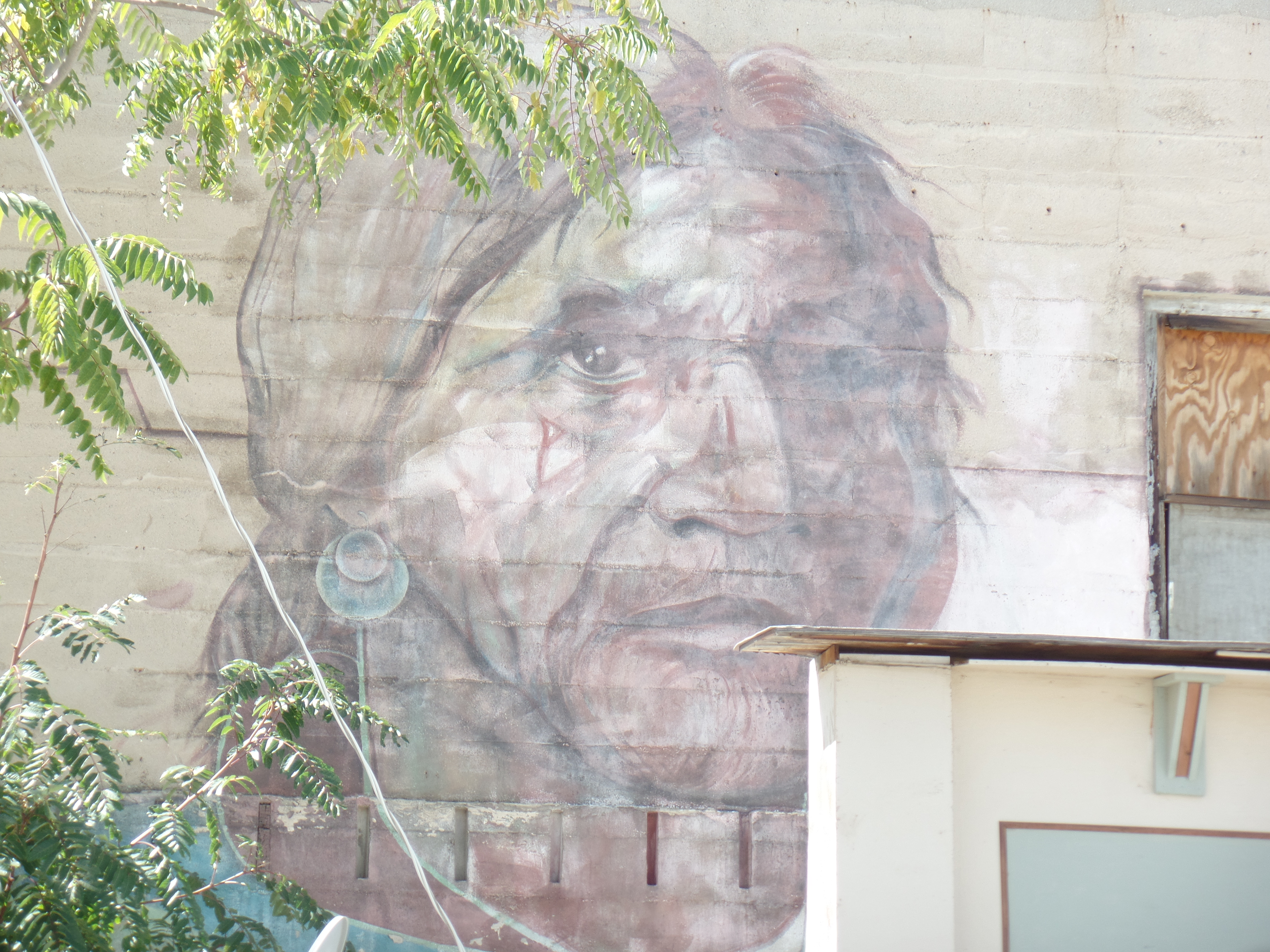 SAMSUNG CAMERA PICTURES