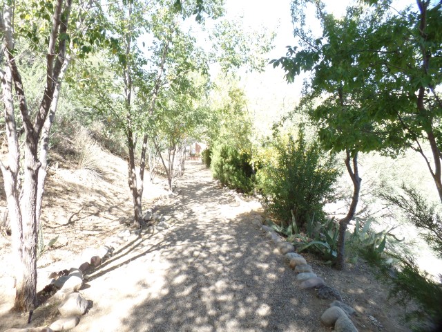 SAMSUNG CAMERA PICTURES