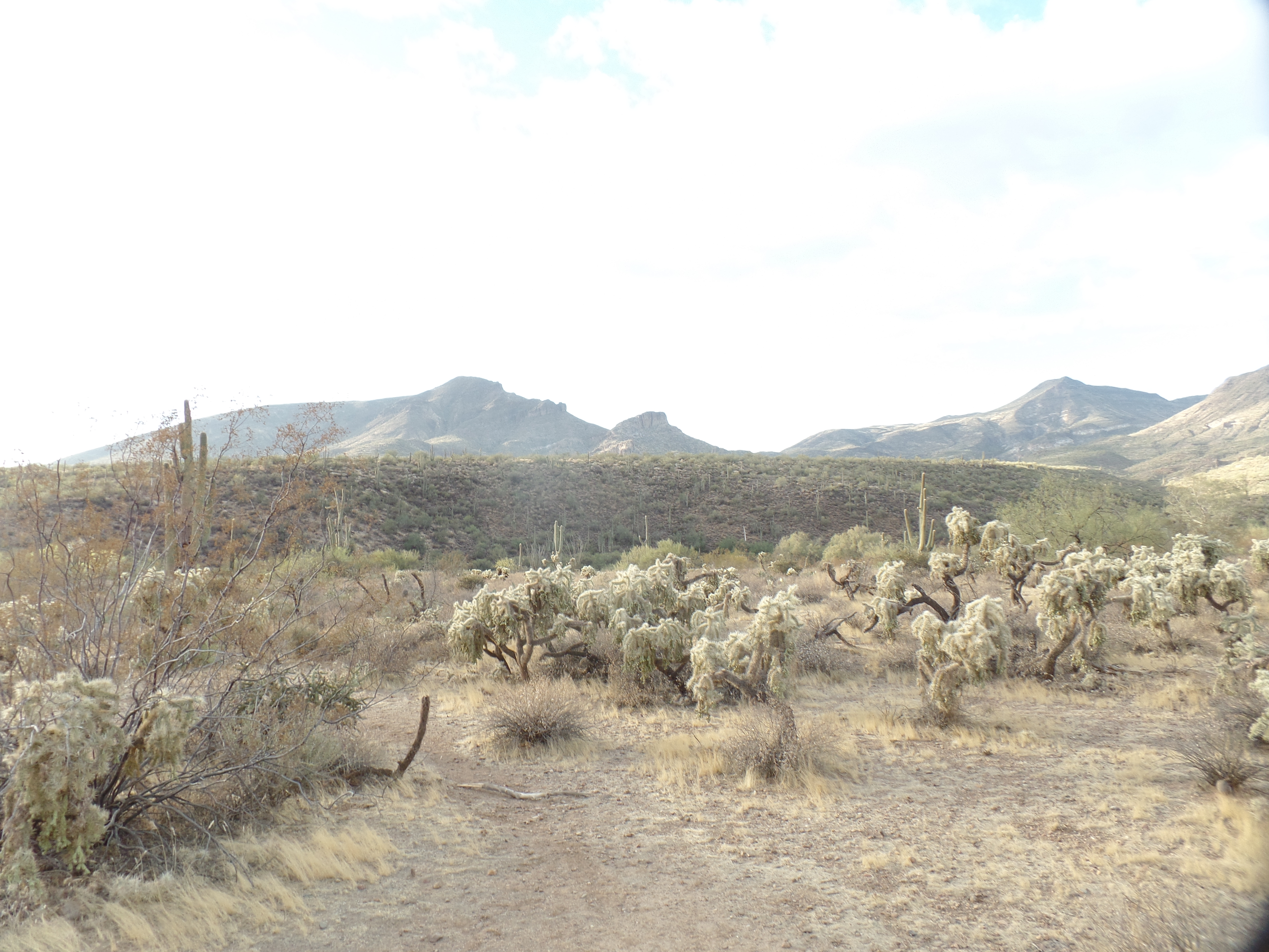 SAMSUNG CAMERA PICTURES