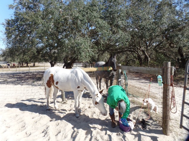 SAMSUNG CAMERA PICTURES