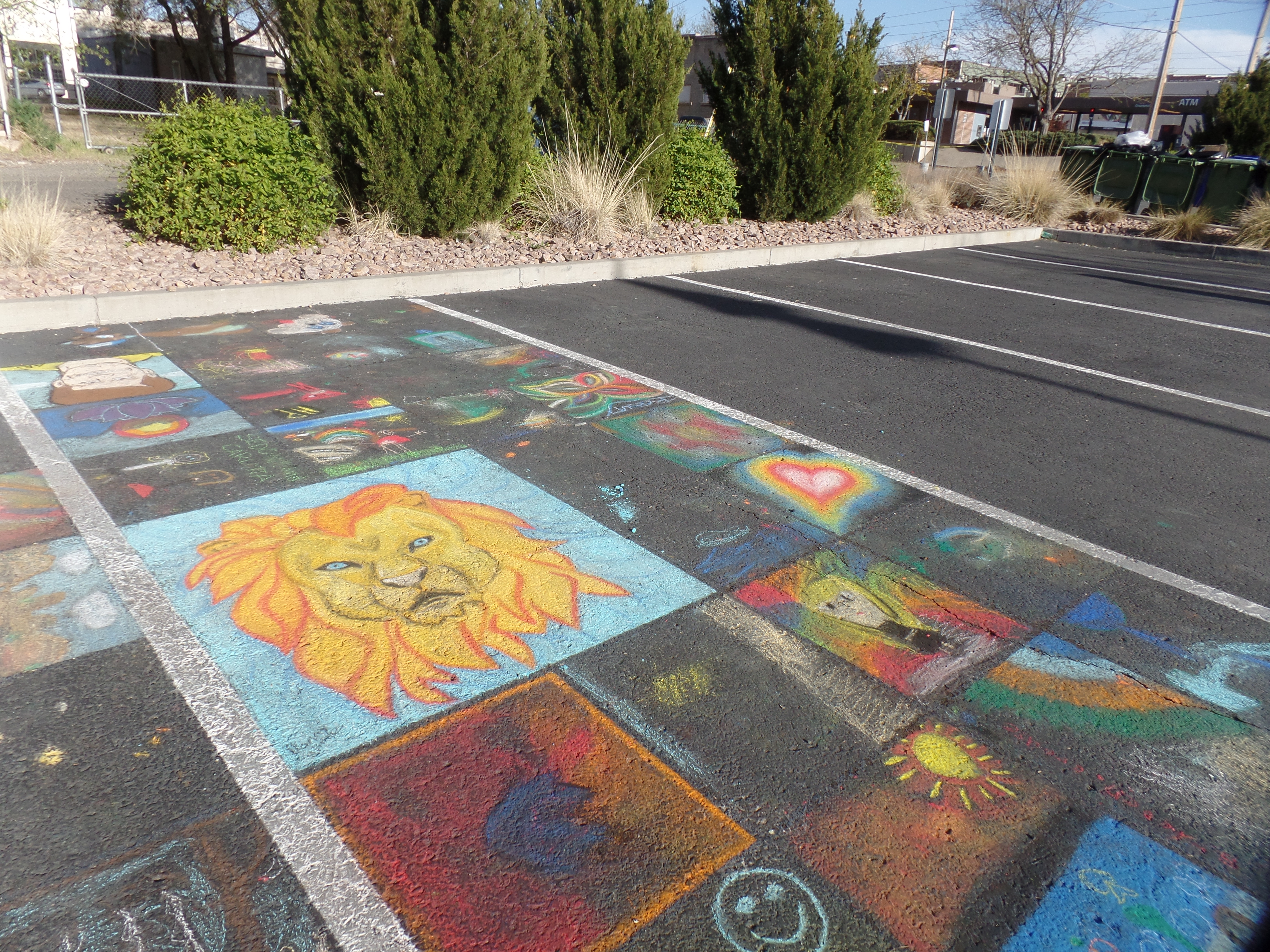 SAMSUNG CAMERA PICTURES