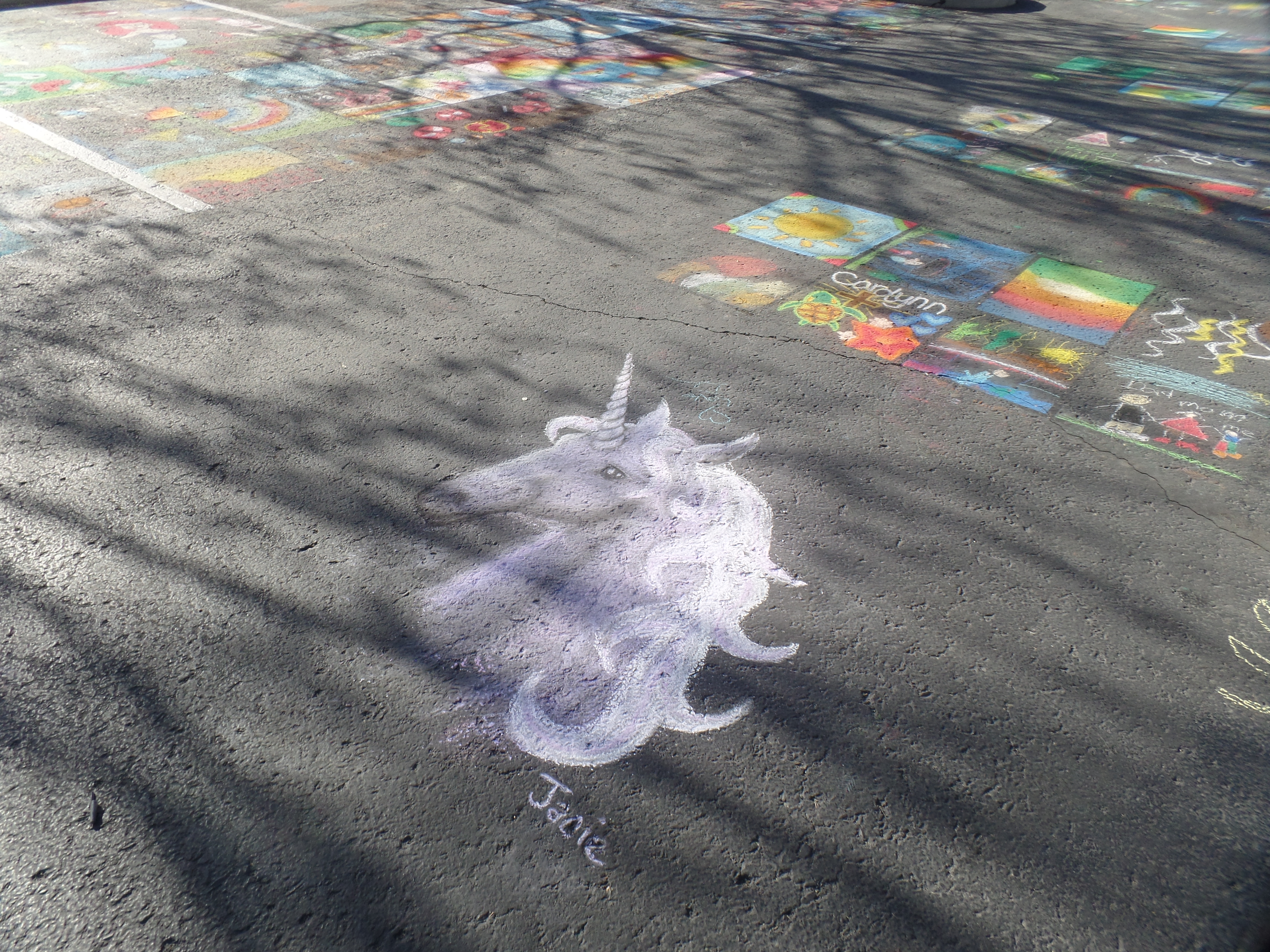 SAMSUNG CAMERA PICTURES