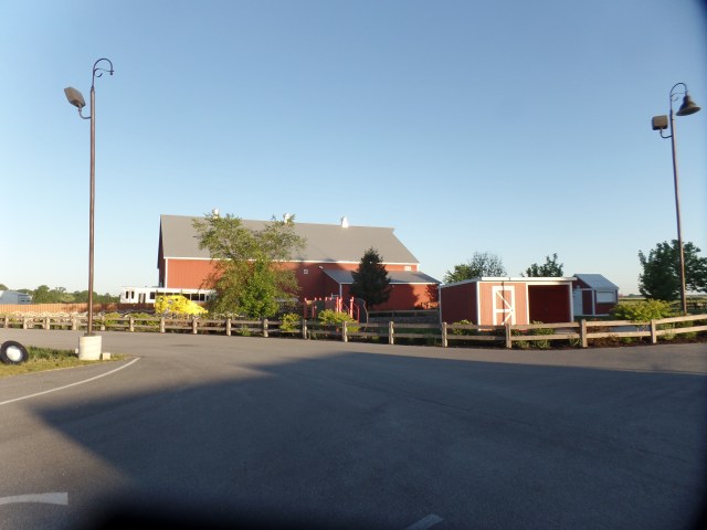 SAMSUNG CAMERA PICTURES