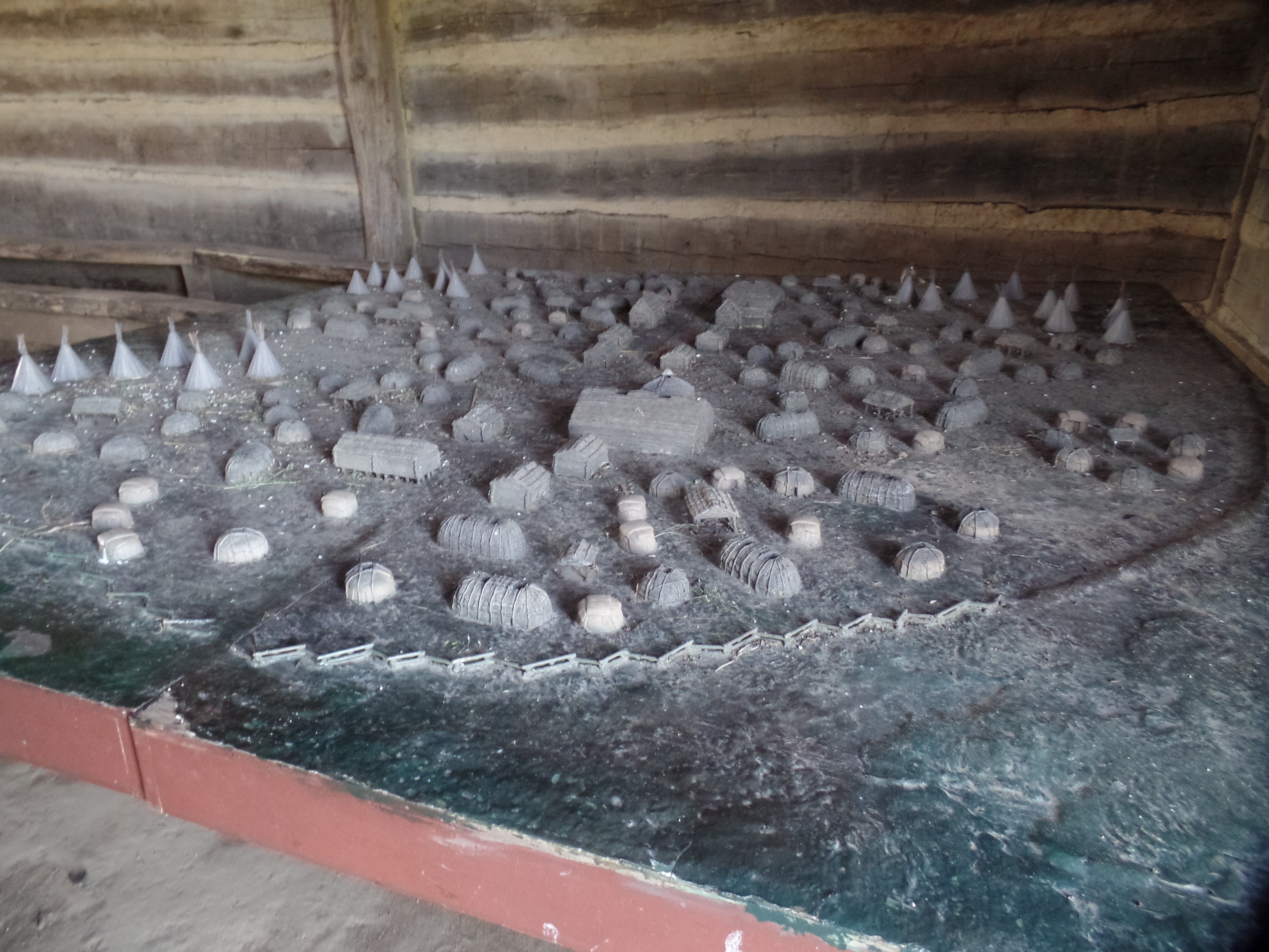 SAMSUNG CAMERA PICTURES