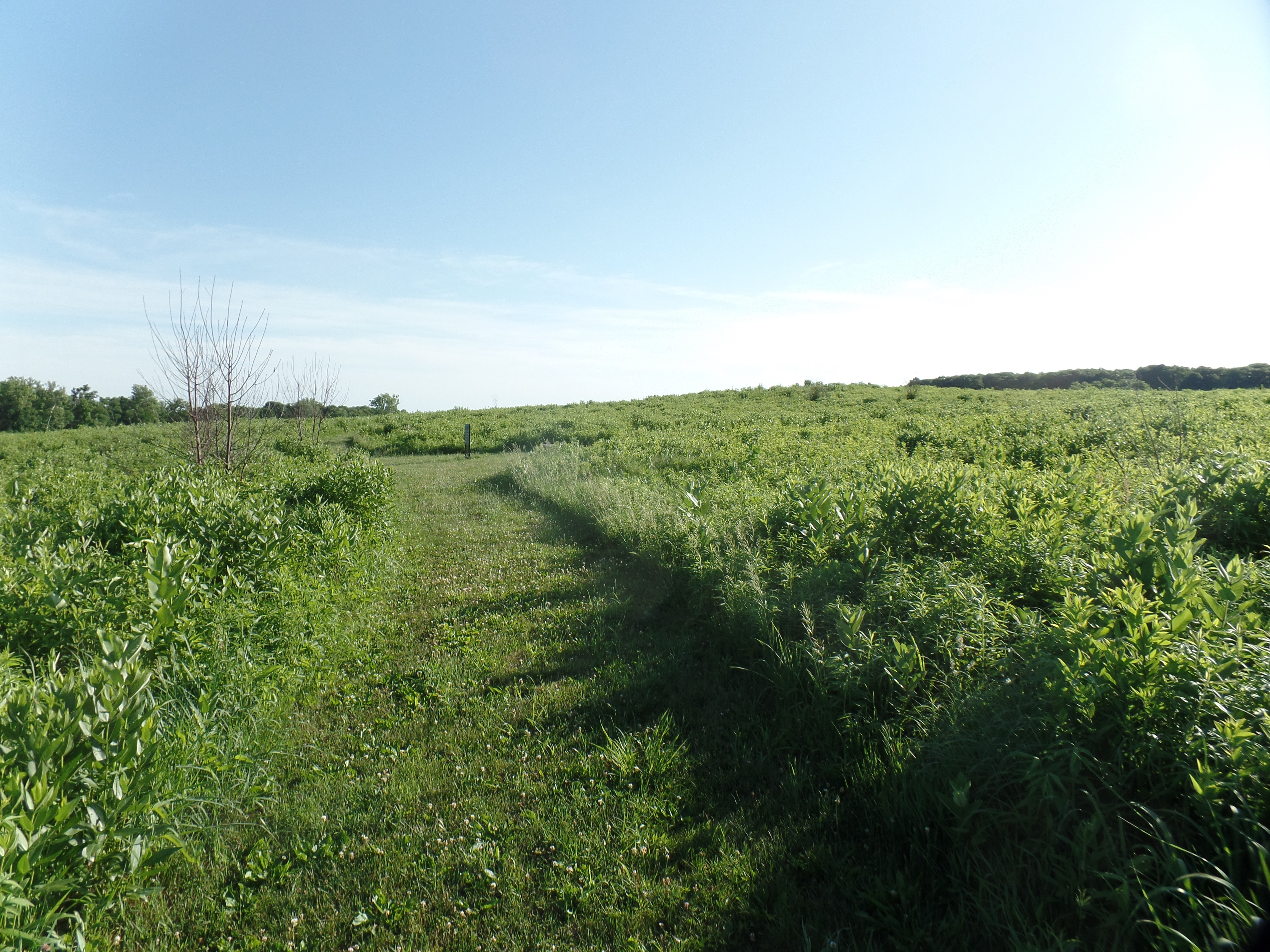 SAMSUNG CAMERA PICTURES