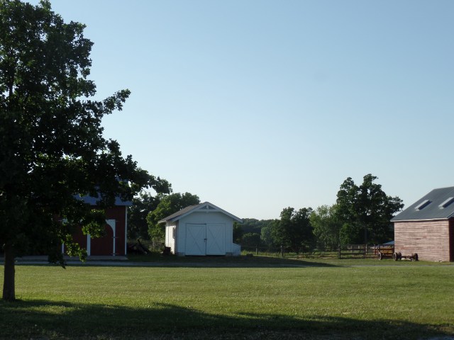 SAMSUNG CAMERA PICTURES