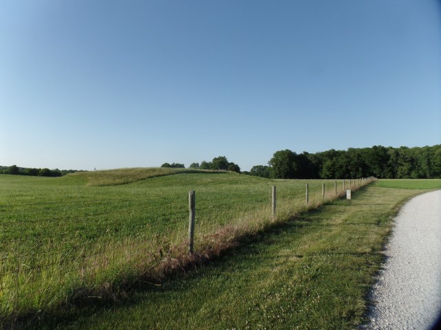 SAMSUNG CAMERA PICTURES