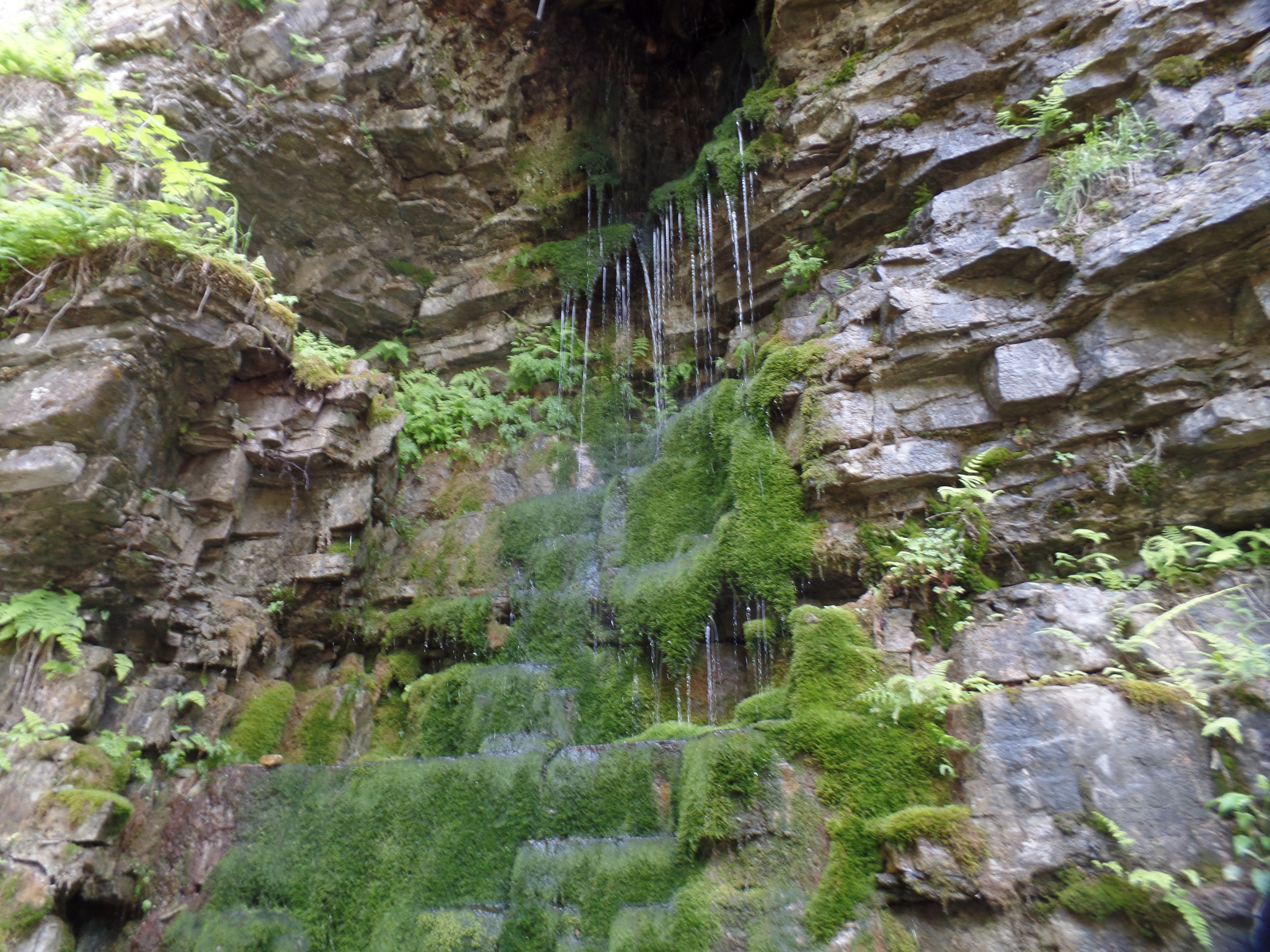 SAMSUNG CAMERA PICTURES