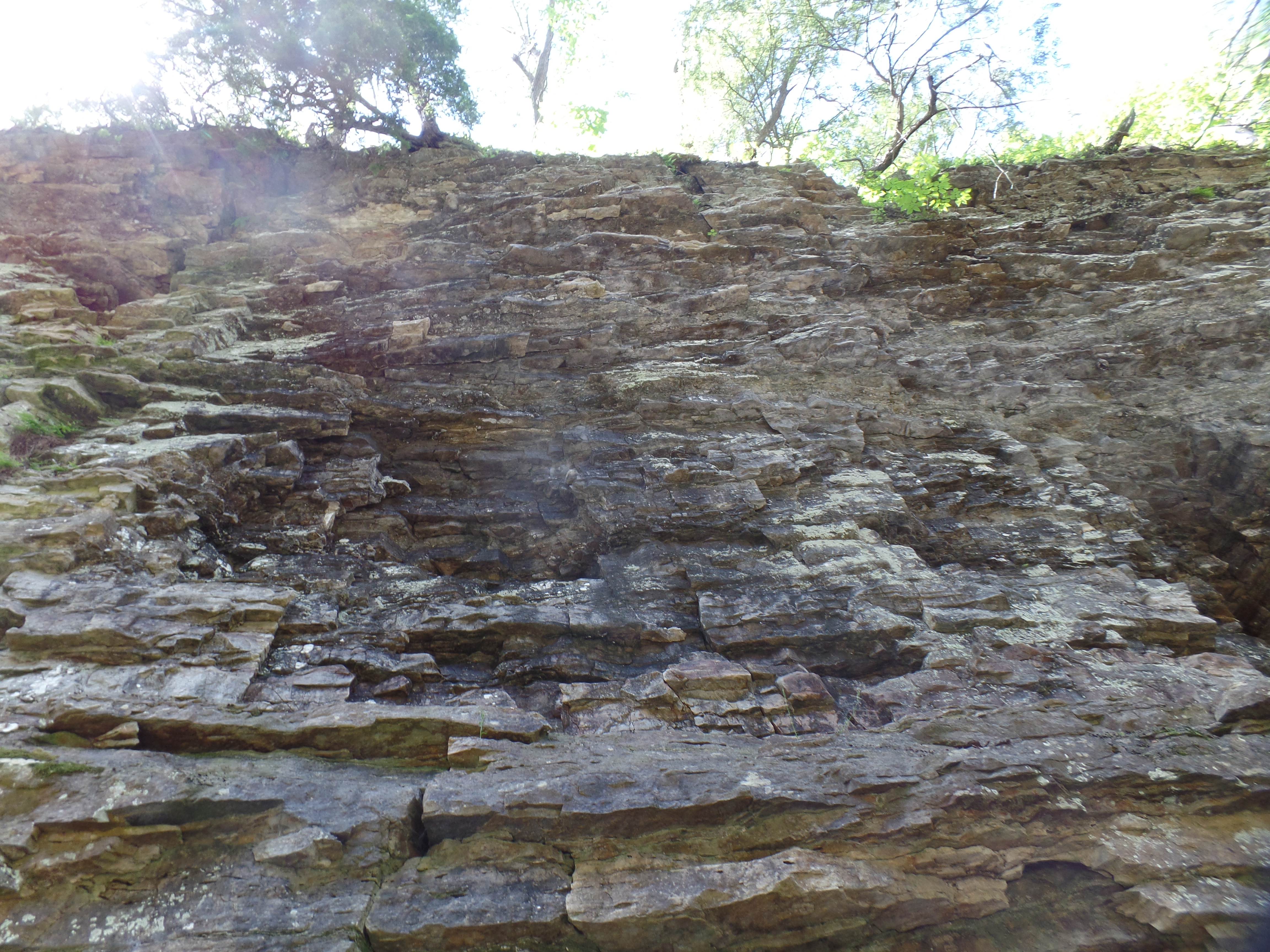 SAMSUNG CAMERA PICTURES