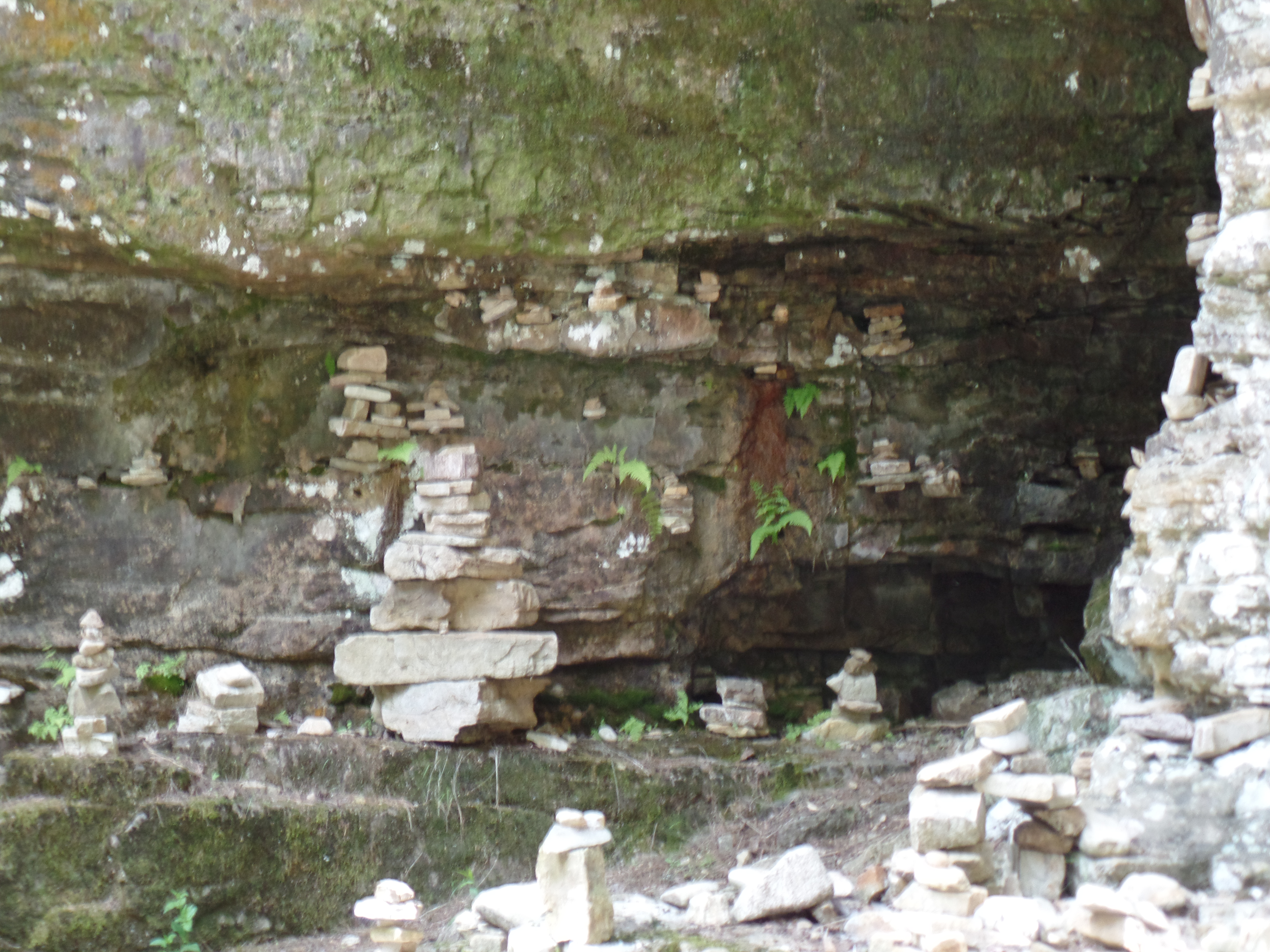 SAMSUNG CAMERA PICTURES