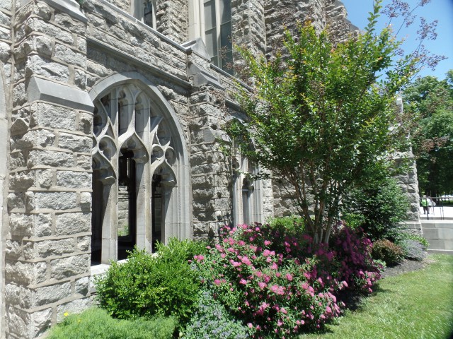 SAMSUNG CAMERA PICTURES