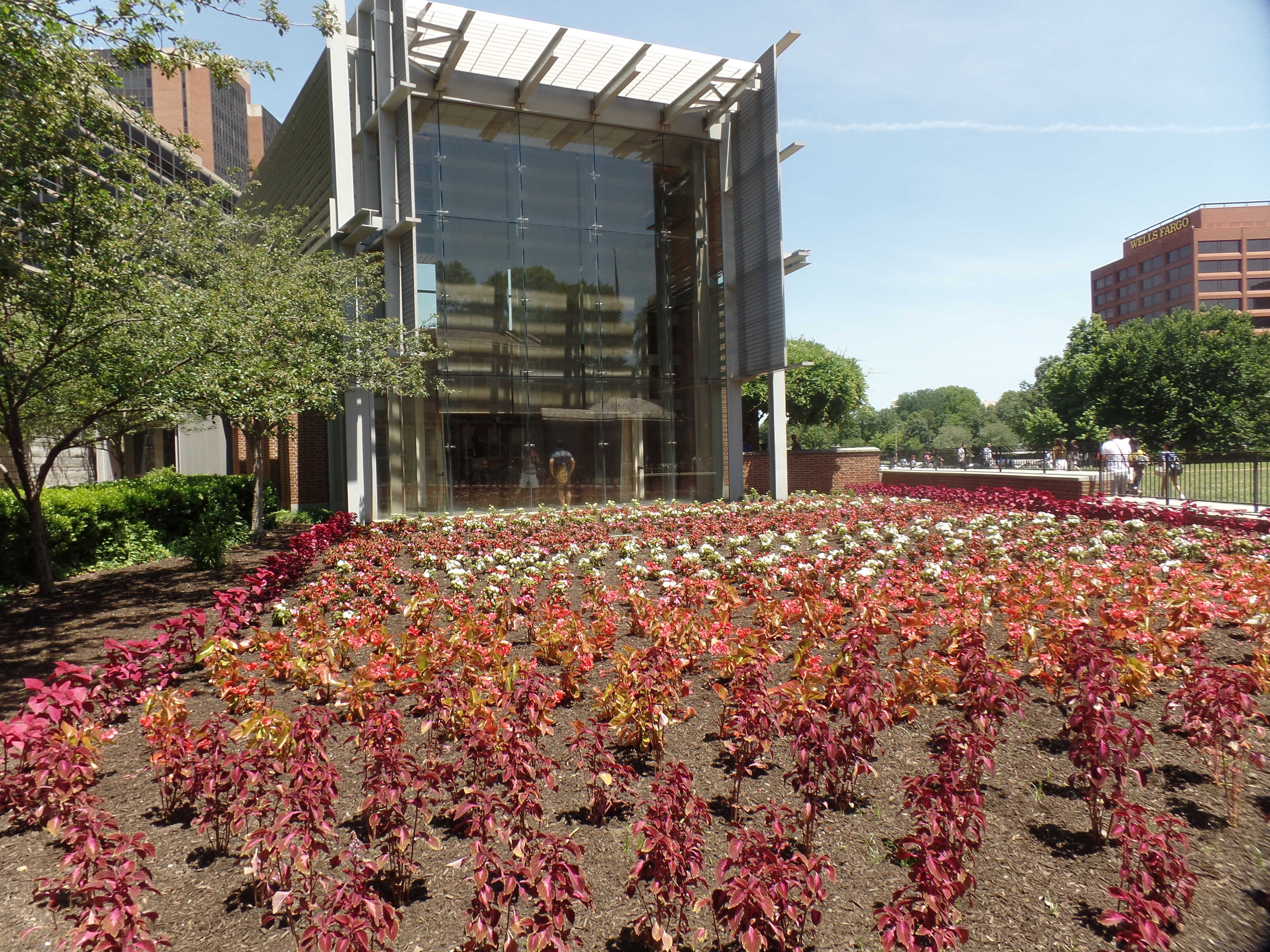 SAMSUNG CAMERA PICTURES