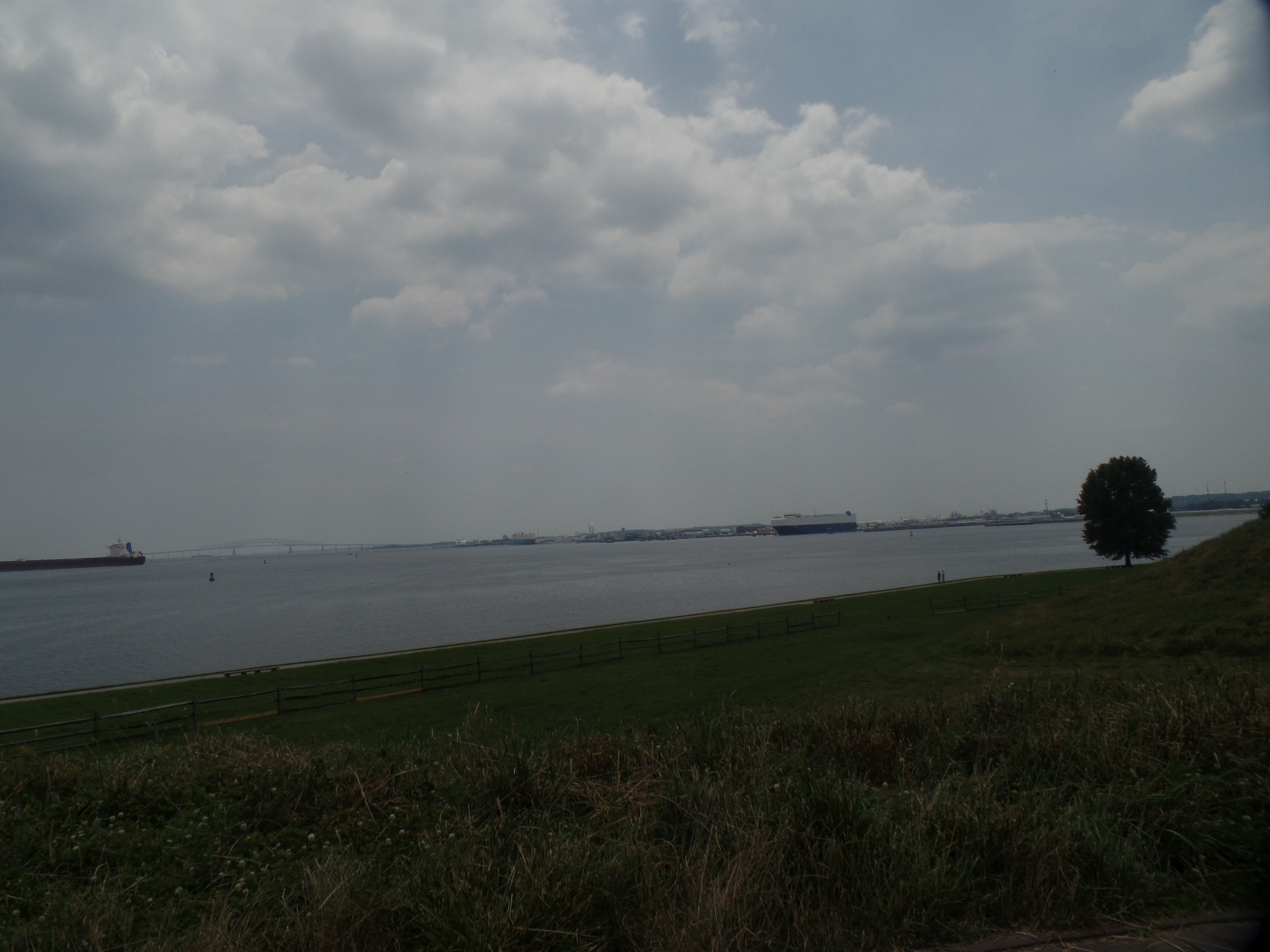 SAMSUNG CAMERA PICTURES