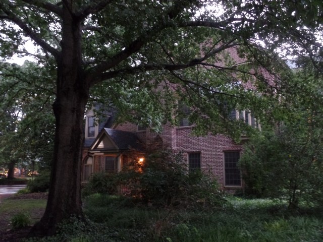 SAMSUNG CAMERA PICTURES