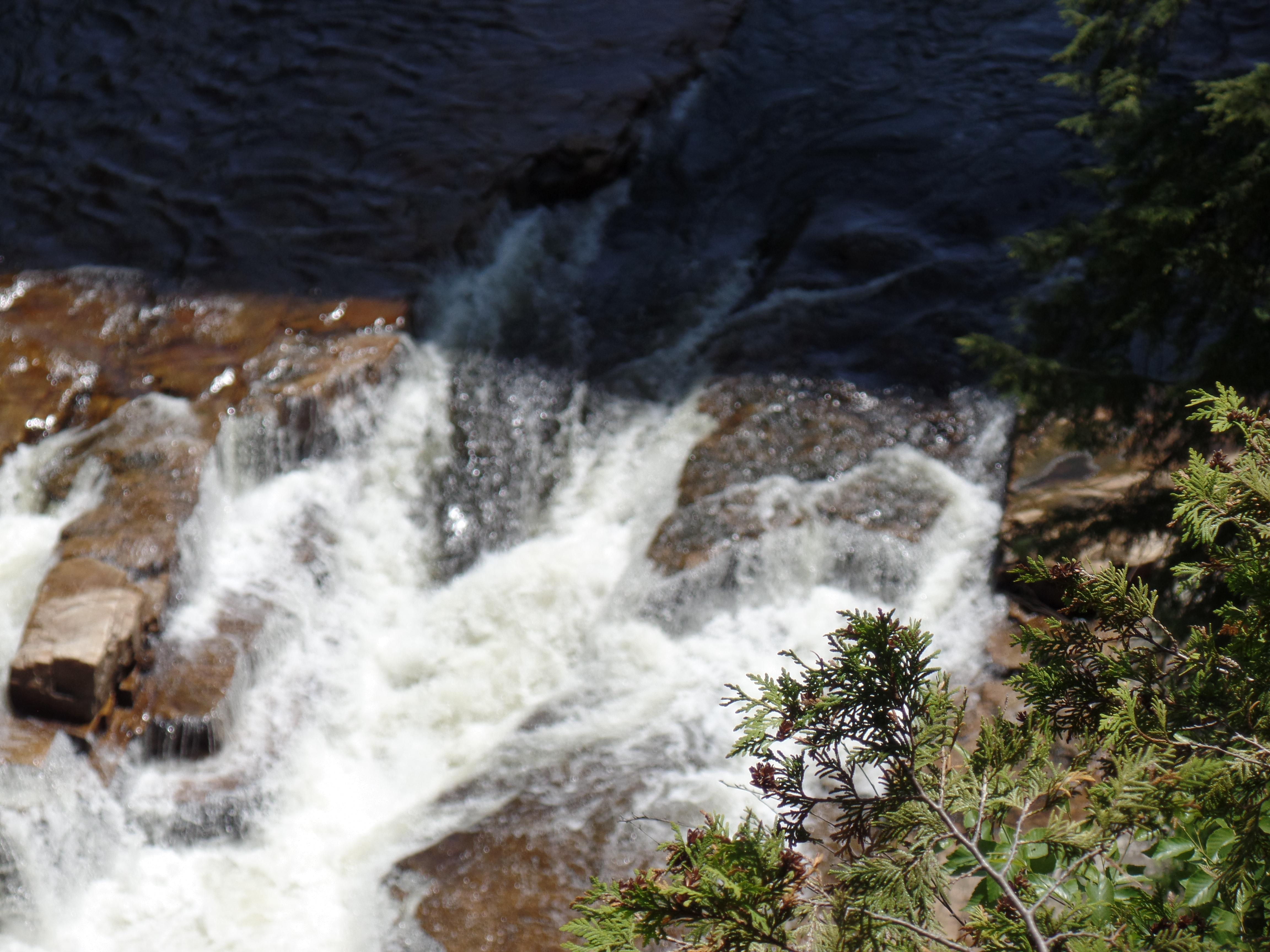 SAMSUNG CAMERA PICTURES