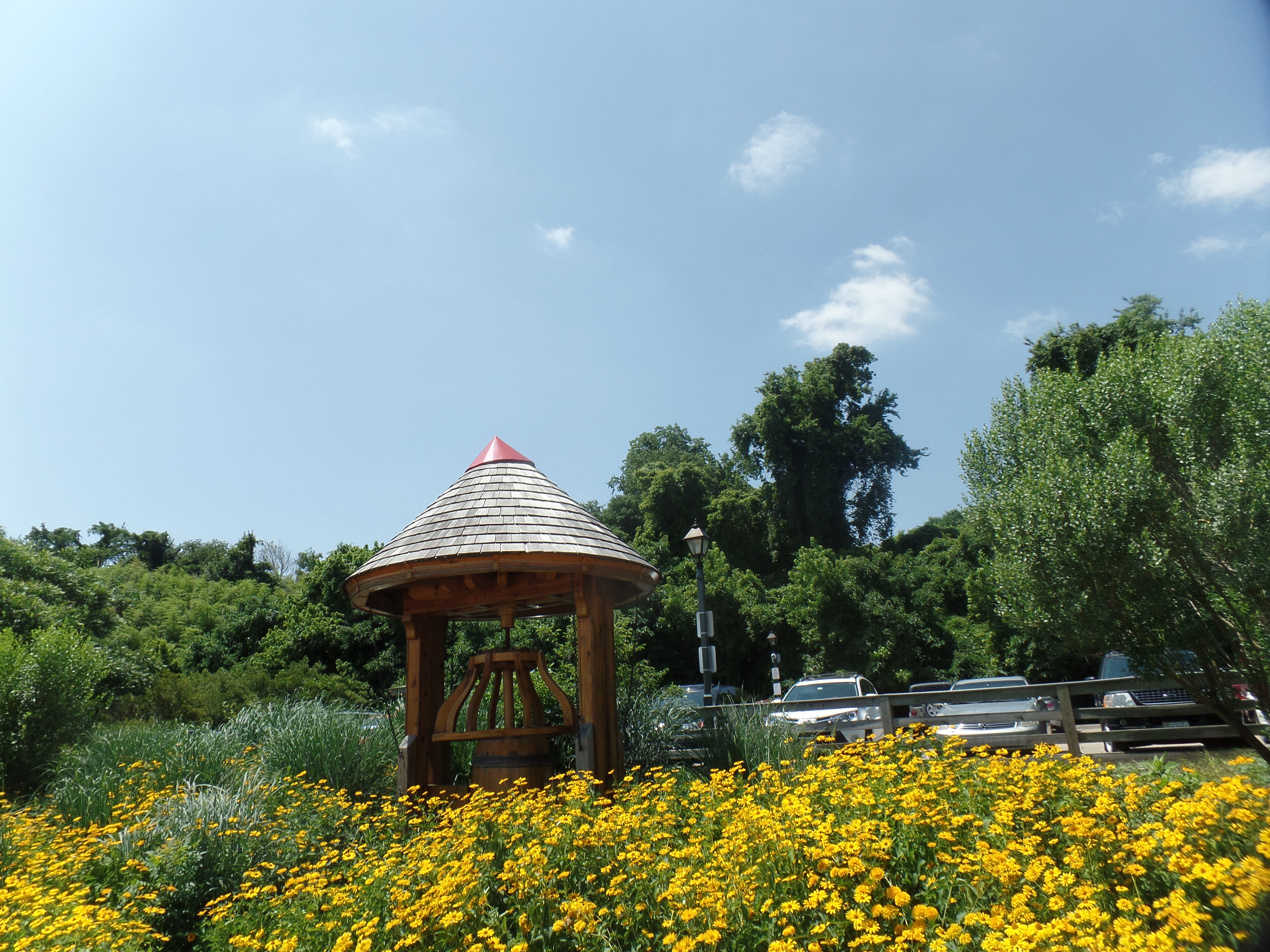 SAMSUNG CAMERA PICTURES