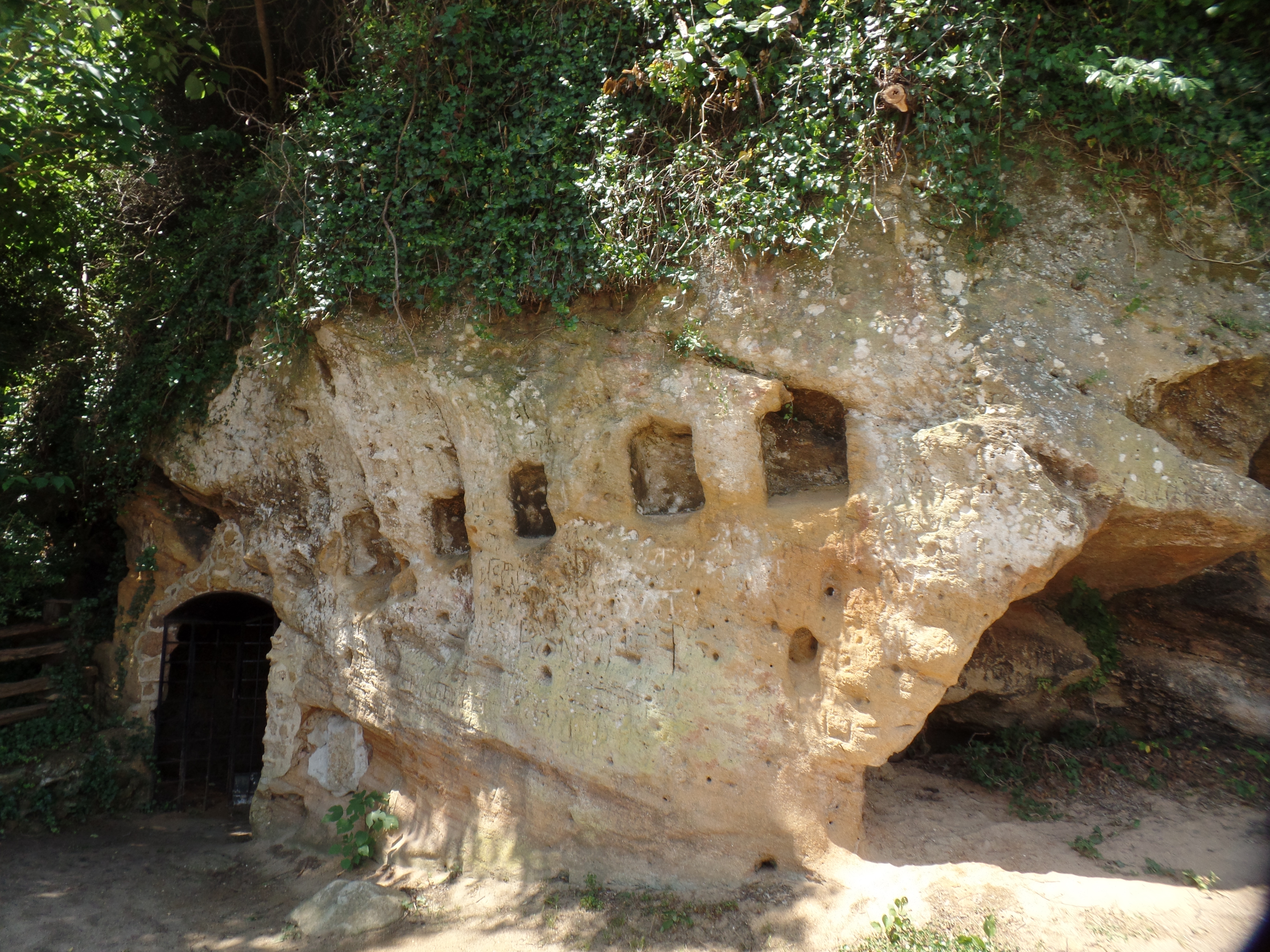 SAMSUNG CAMERA PICTURES