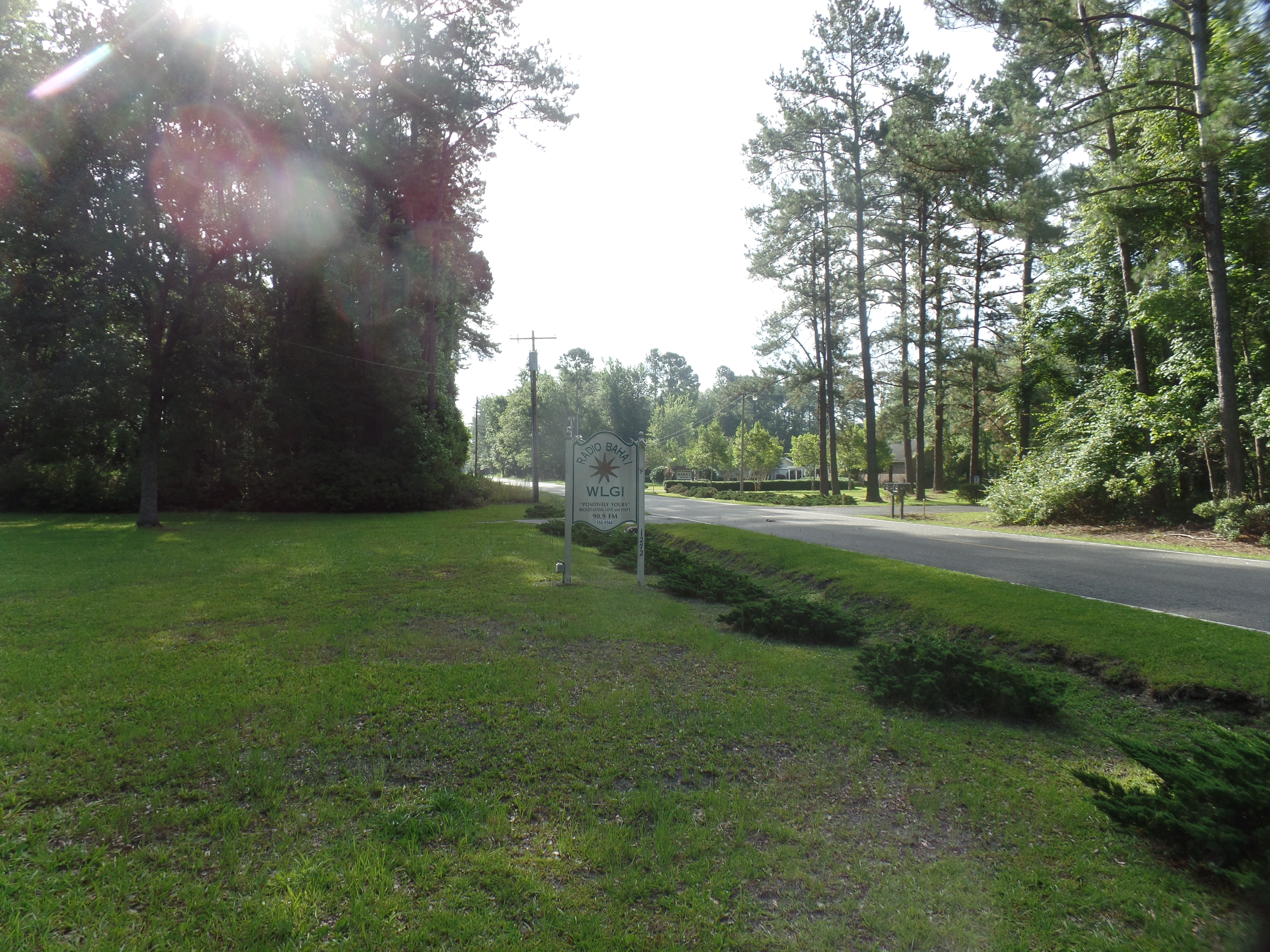 SAMSUNG CAMERA PICTURES