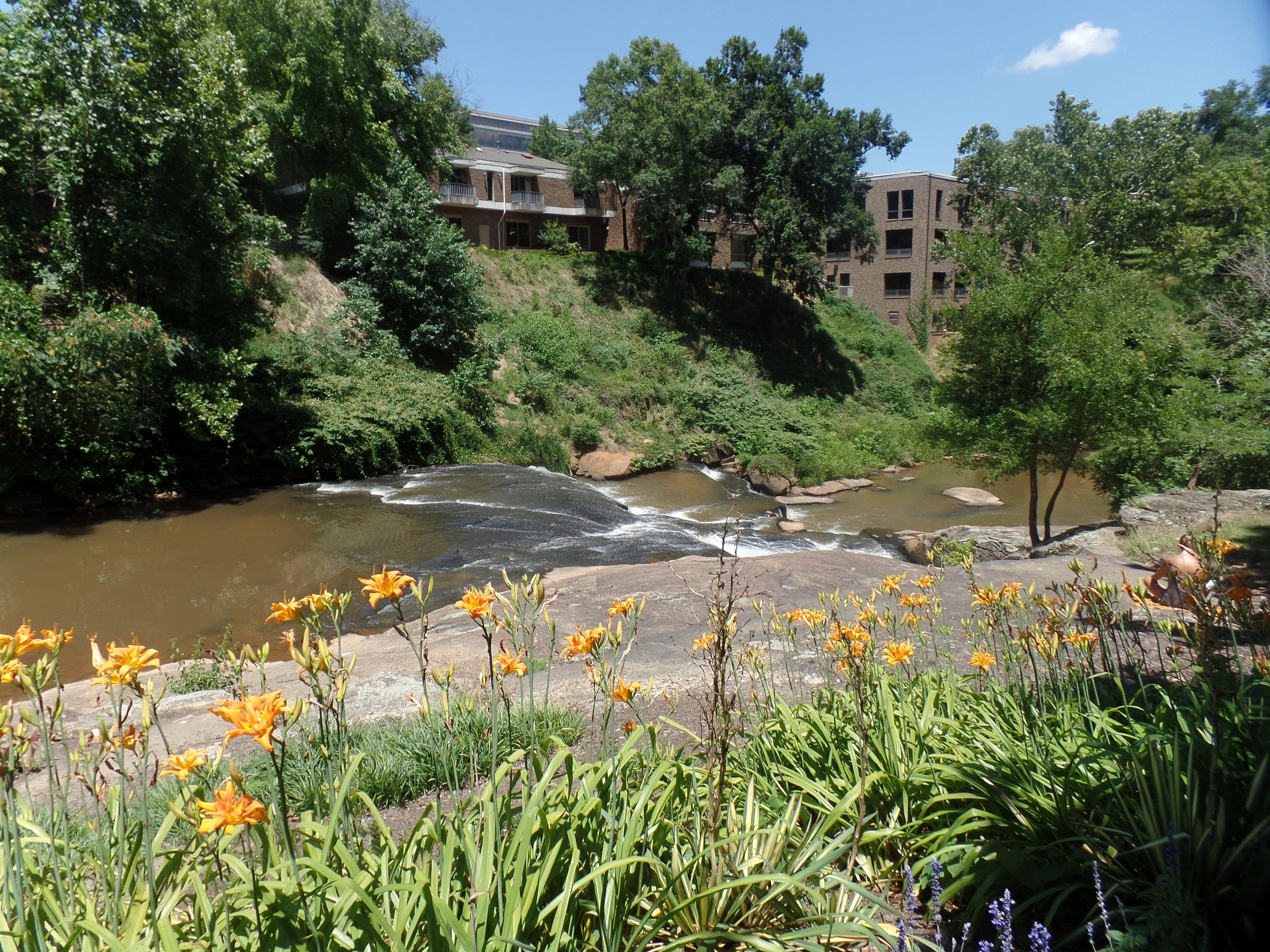 SAMSUNG CAMERA PICTURES