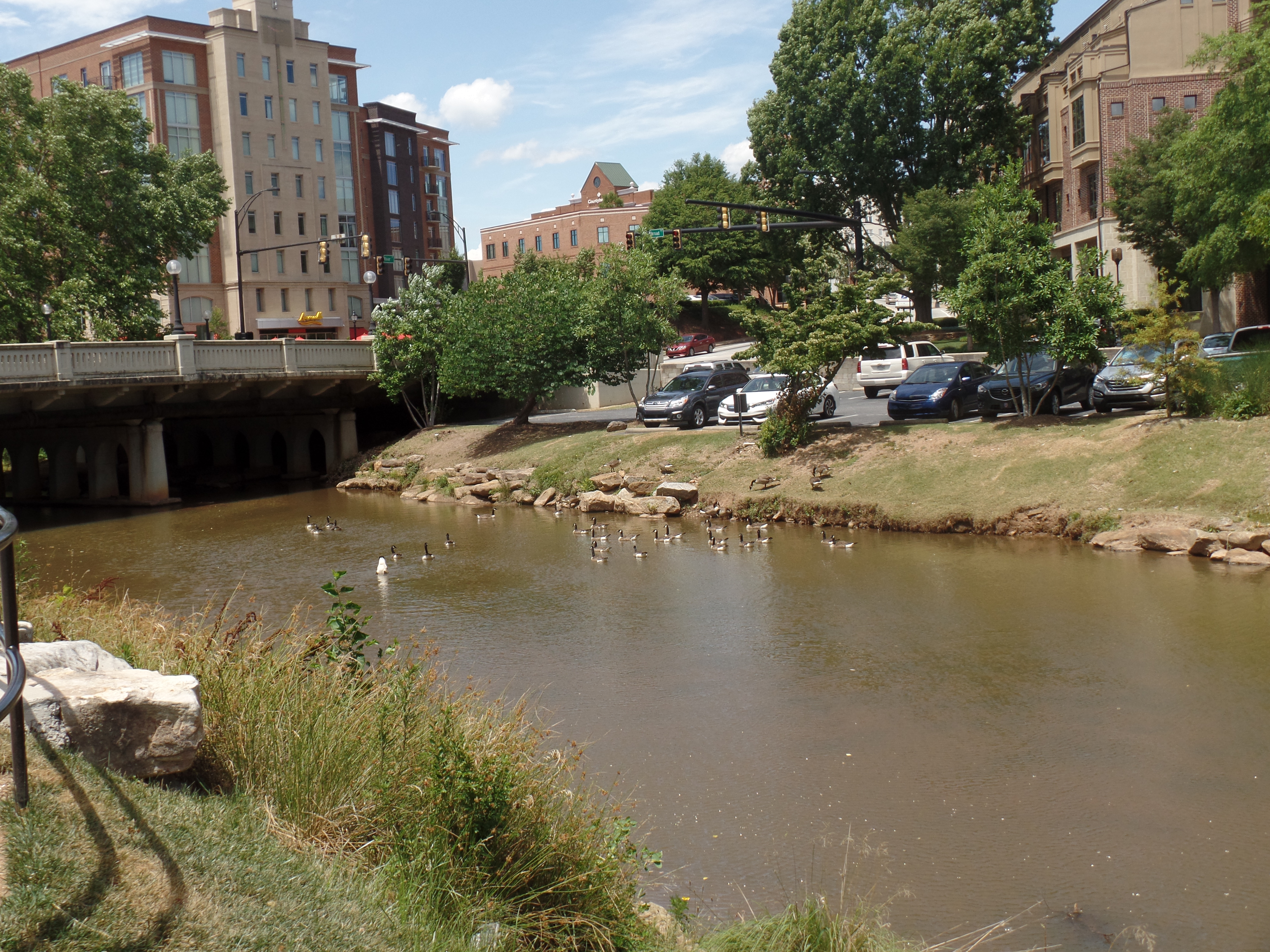 SAMSUNG CAMERA PICTURES