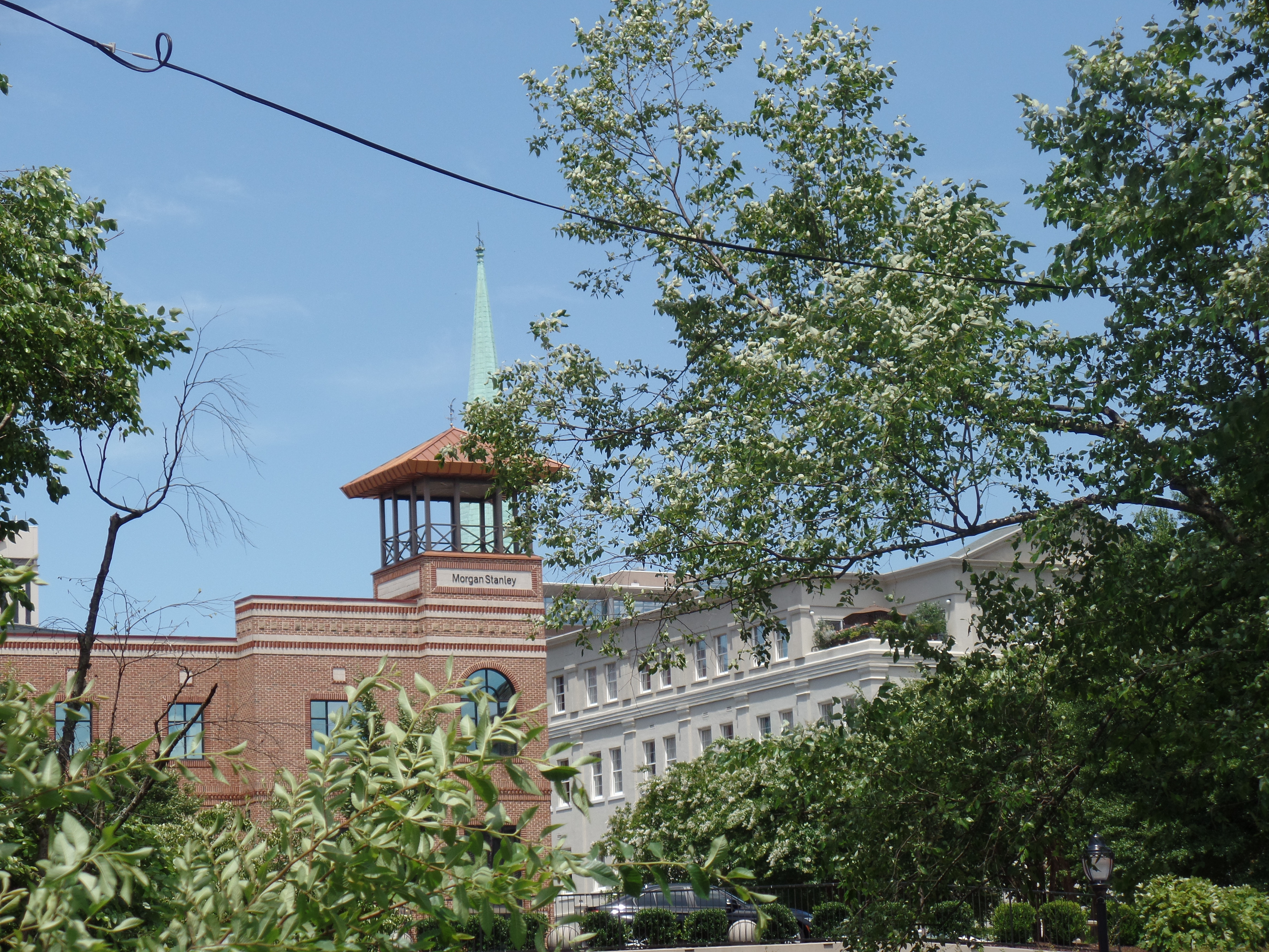 SAMSUNG CAMERA PICTURES