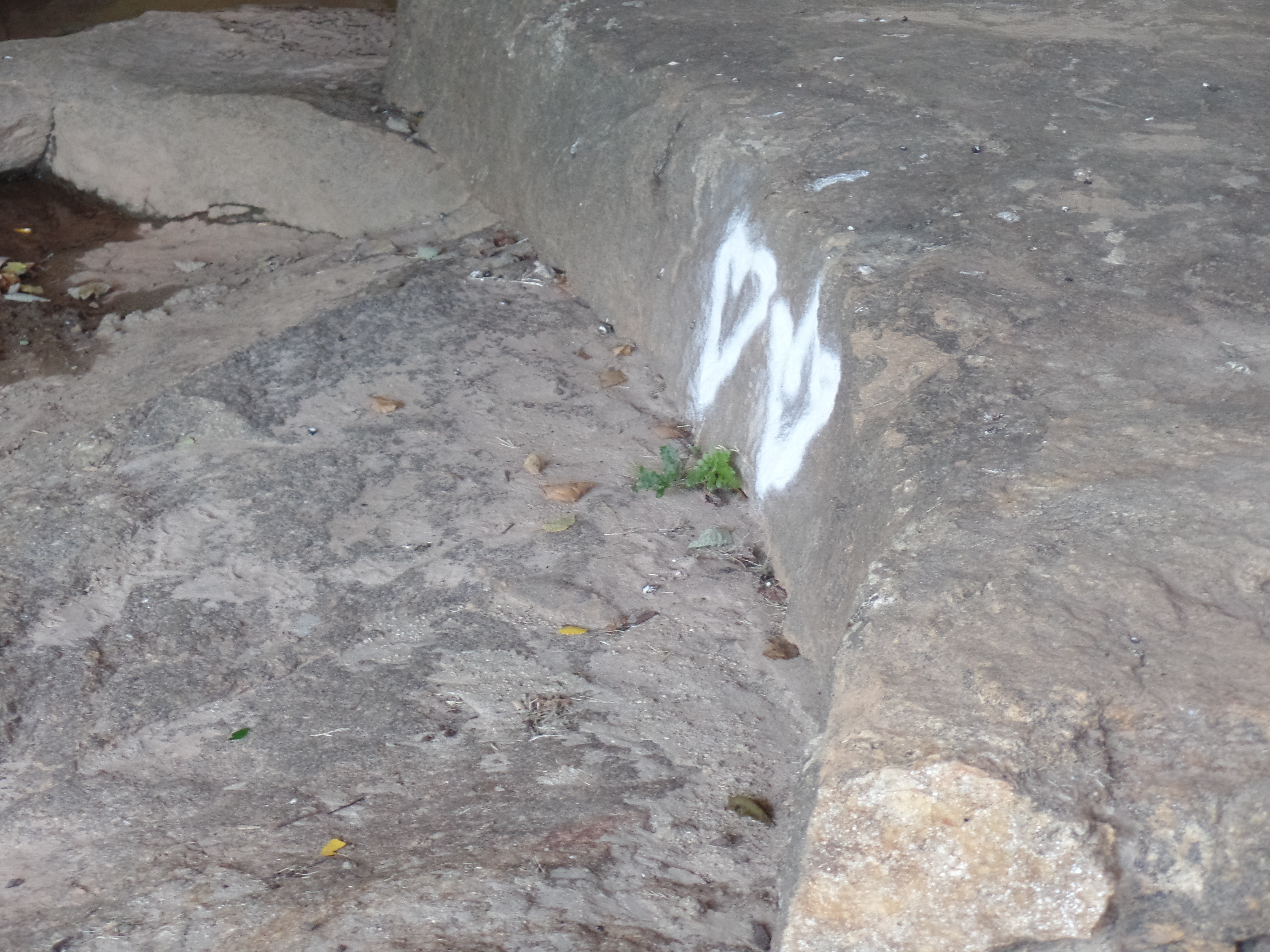 SAMSUNG CAMERA PICTURES