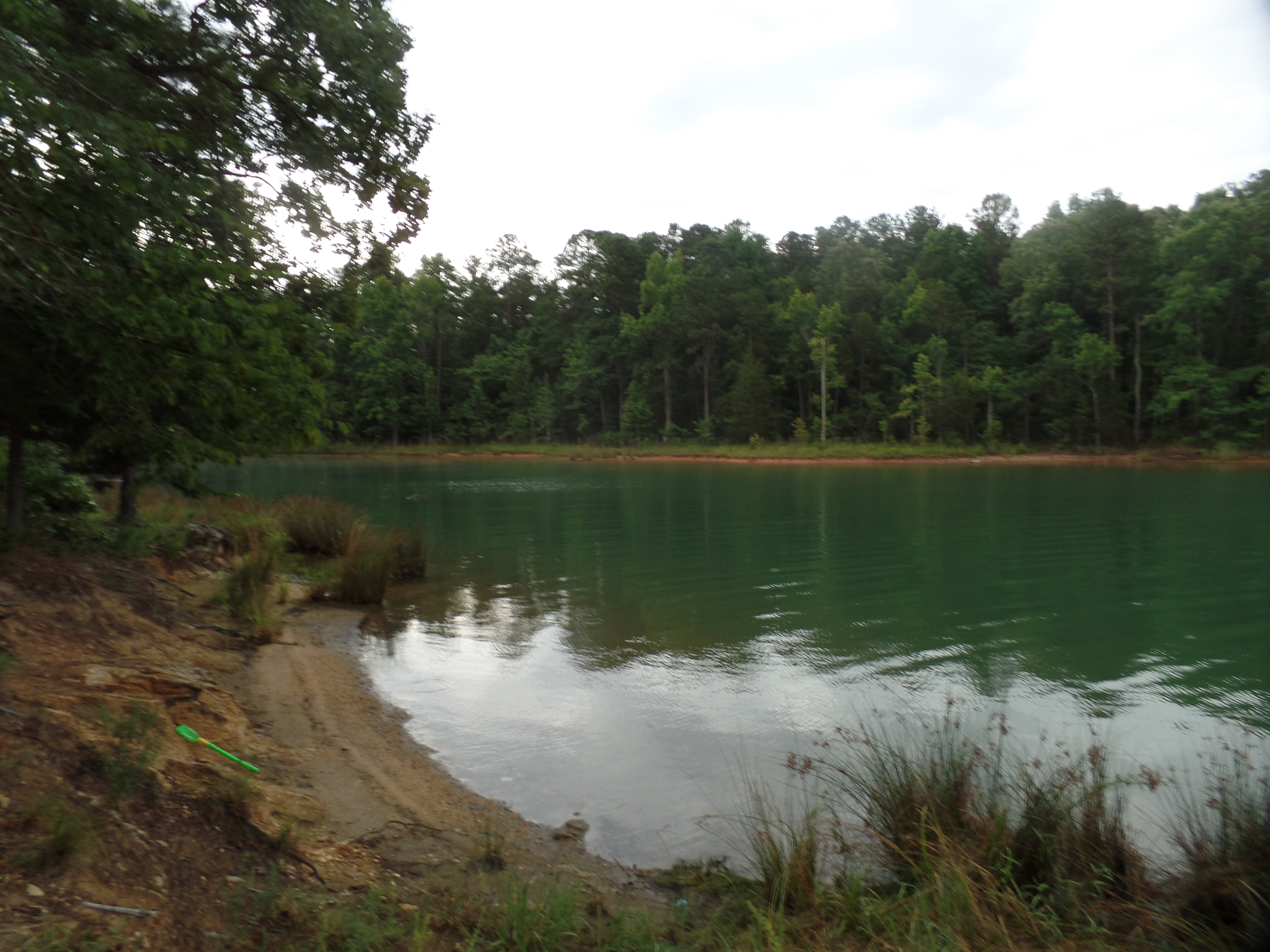 SAMSUNG CAMERA PICTURES