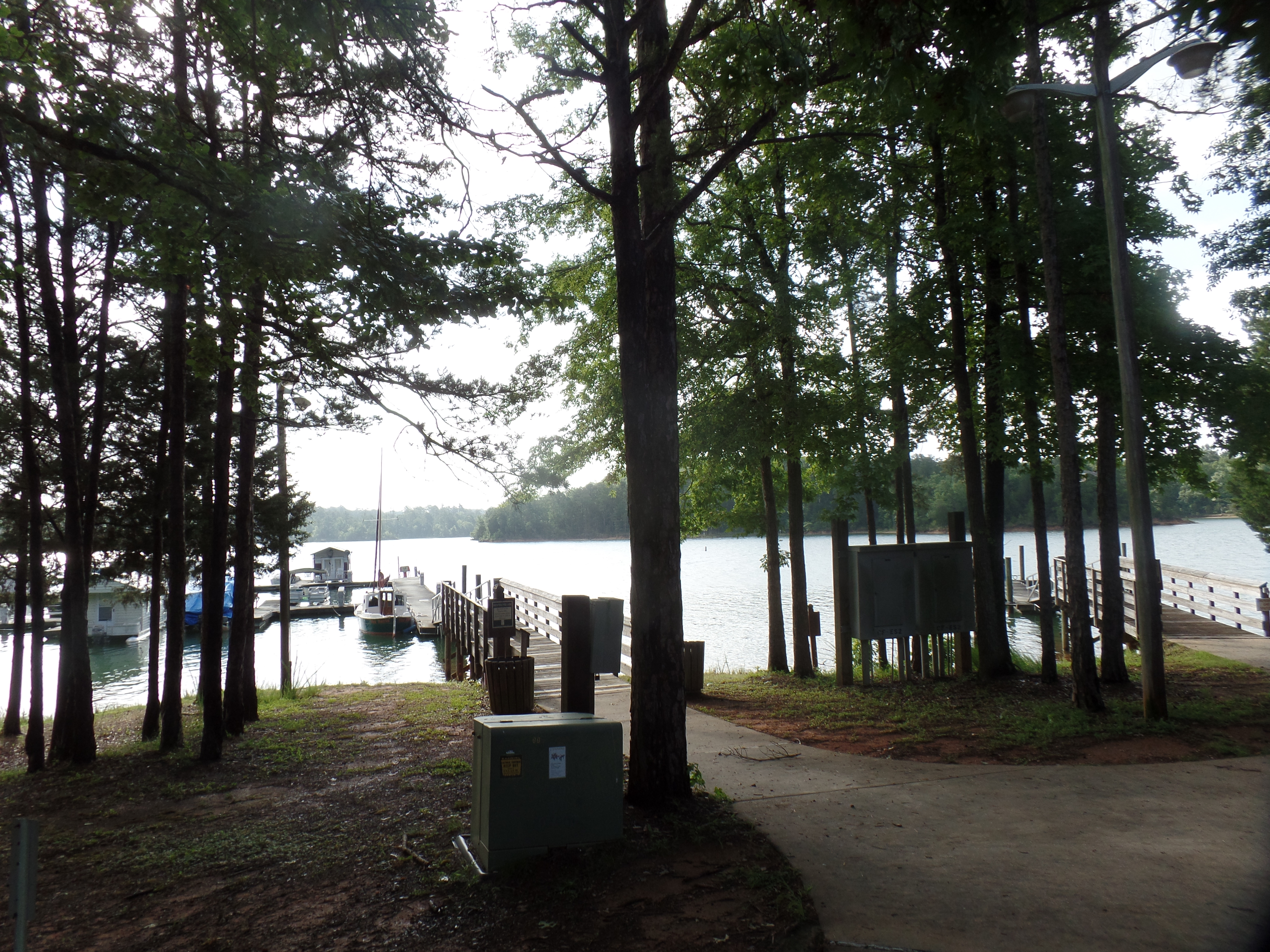 SAMSUNG CAMERA PICTURES