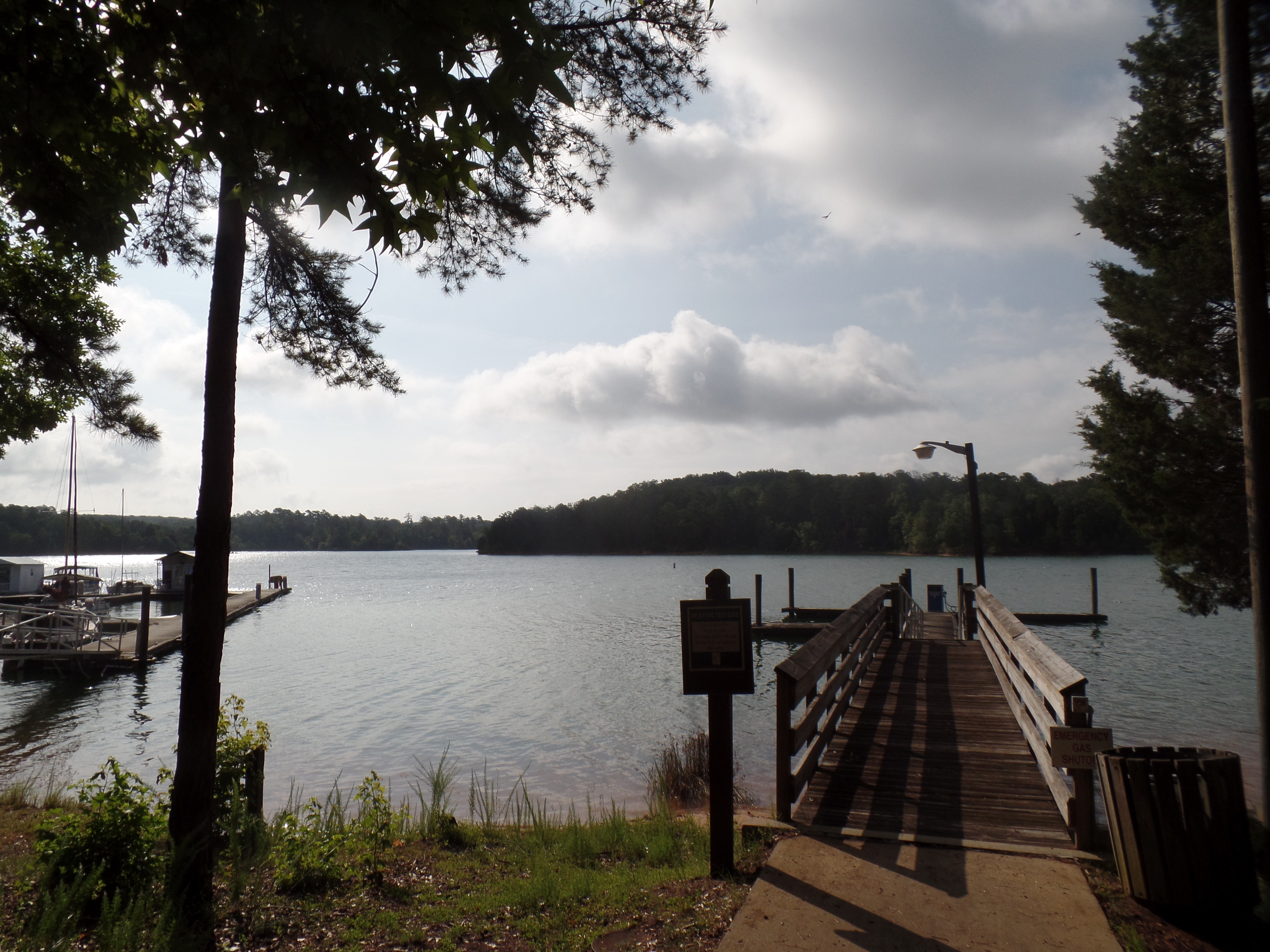 SAMSUNG CAMERA PICTURES