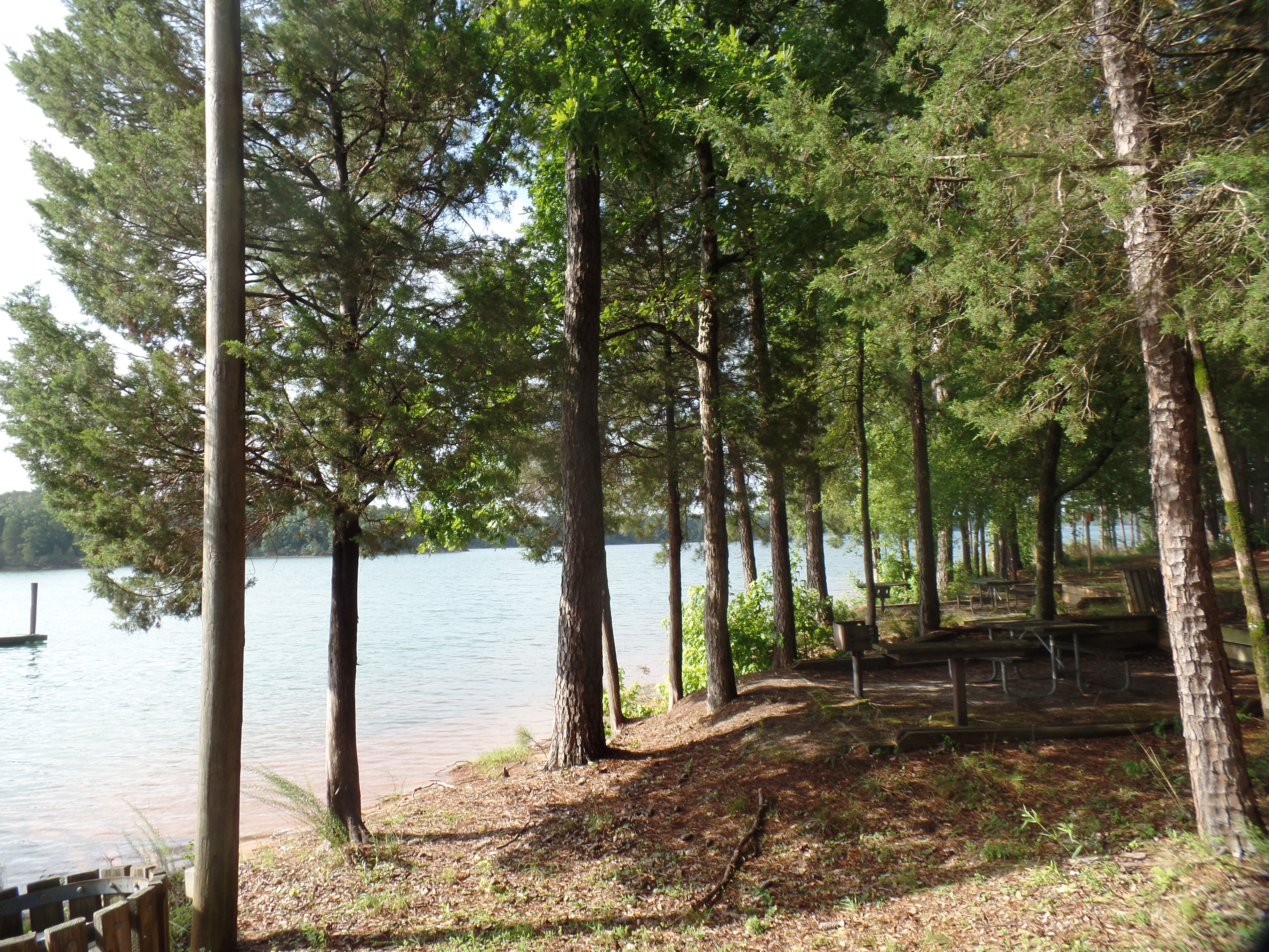 SAMSUNG CAMERA PICTURES