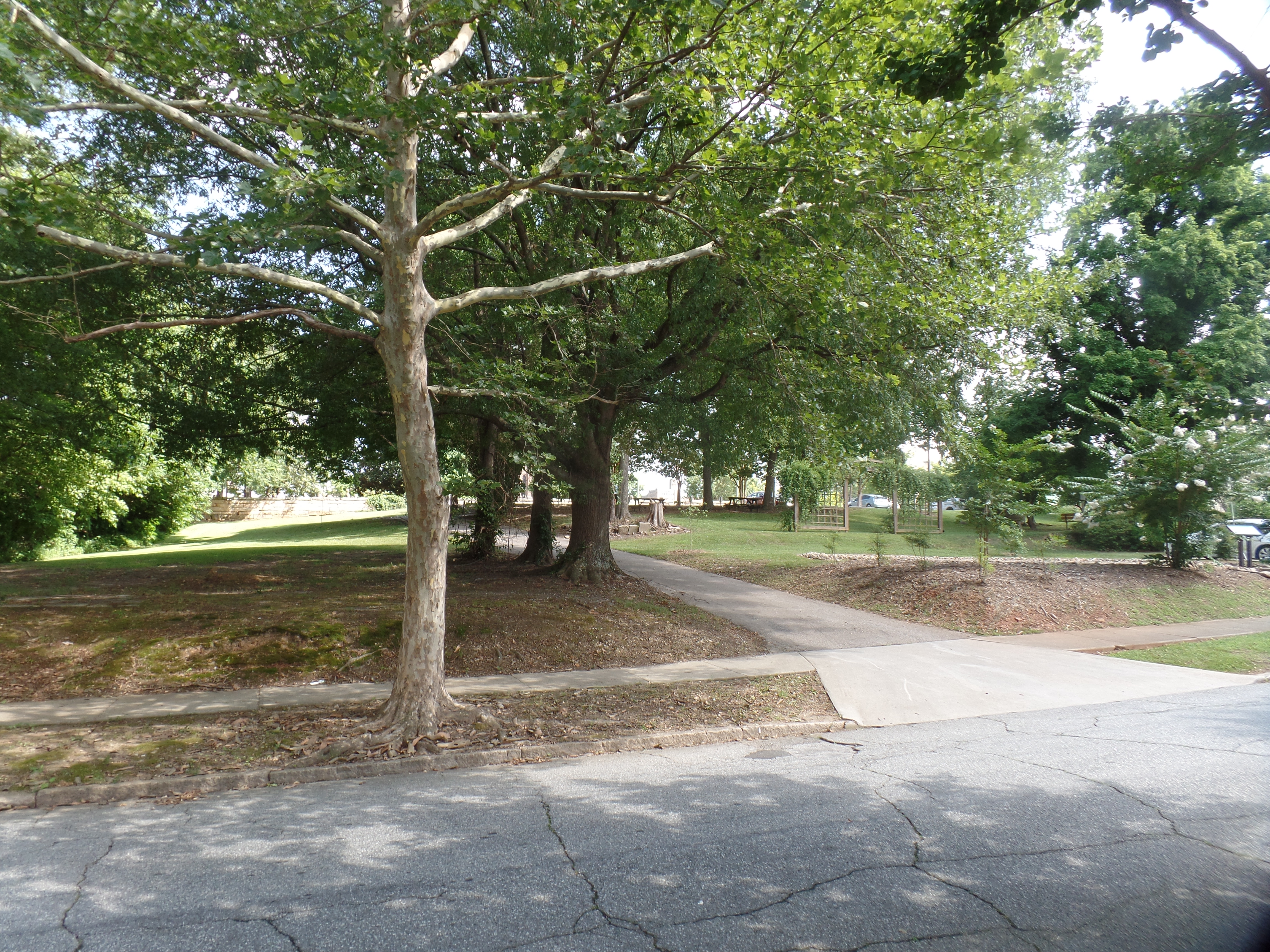 SAMSUNG CAMERA PICTURES