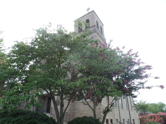 SAMSUNG CAMERA PICTURES