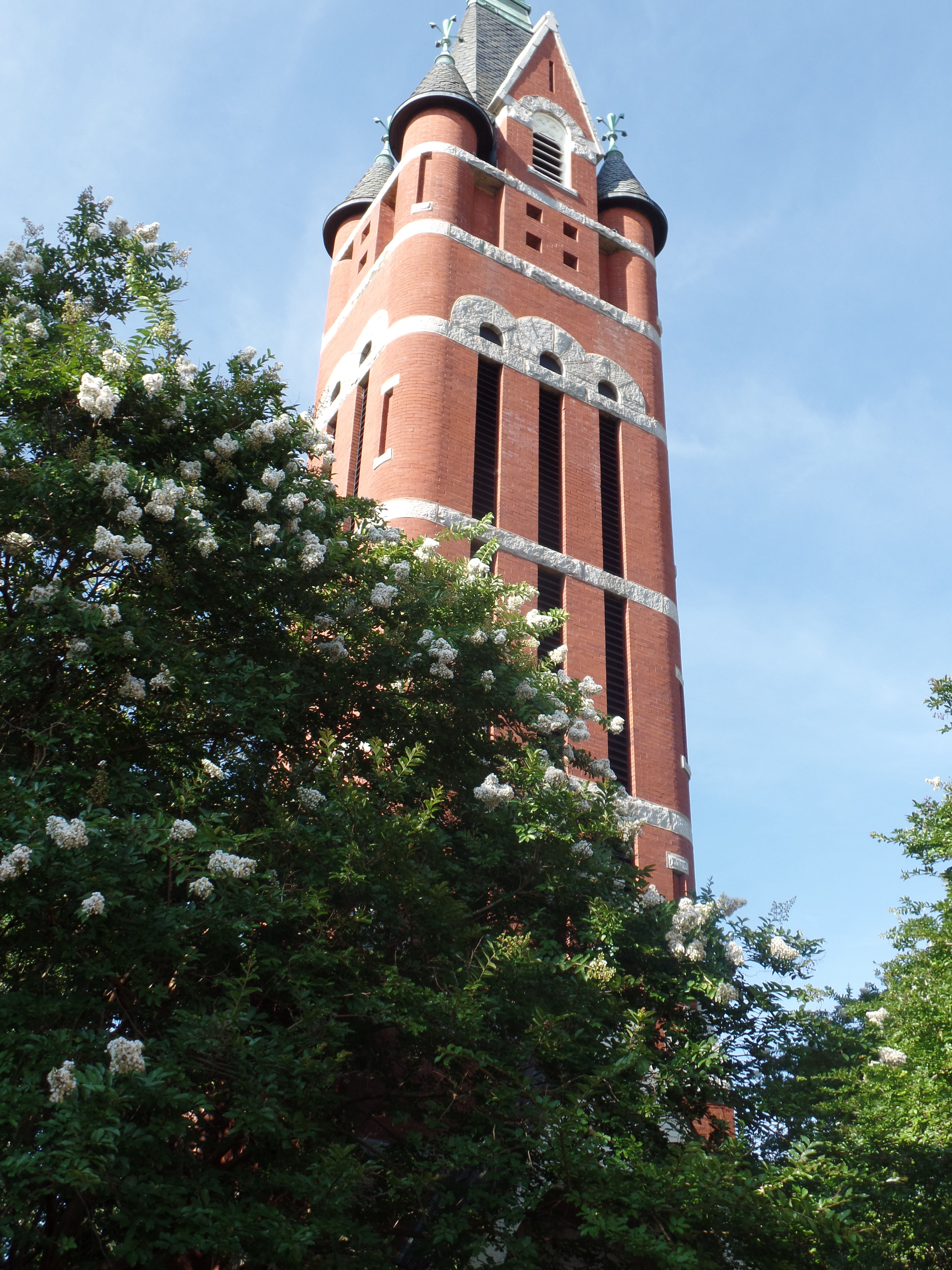 SAMSUNG CAMERA PICTURES