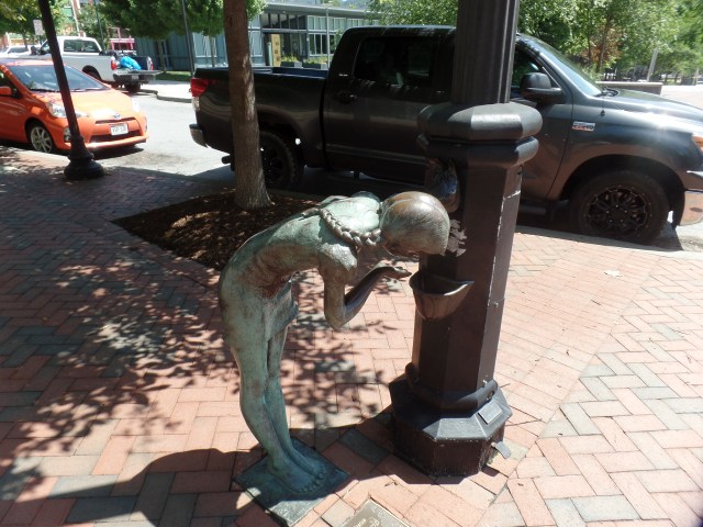 SAMSUNG CAMERA PICTURES