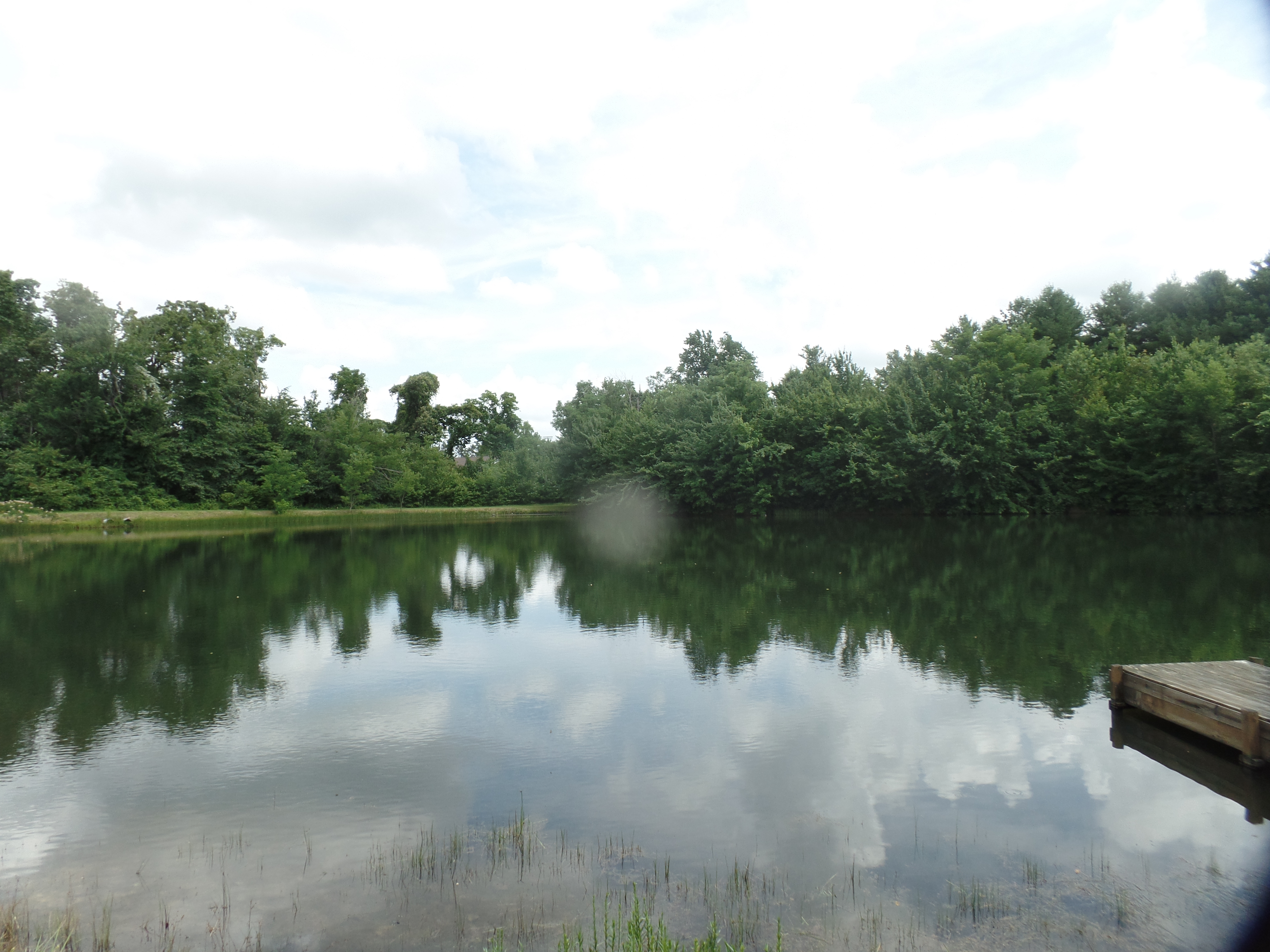 SAMSUNG CAMERA PICTURES