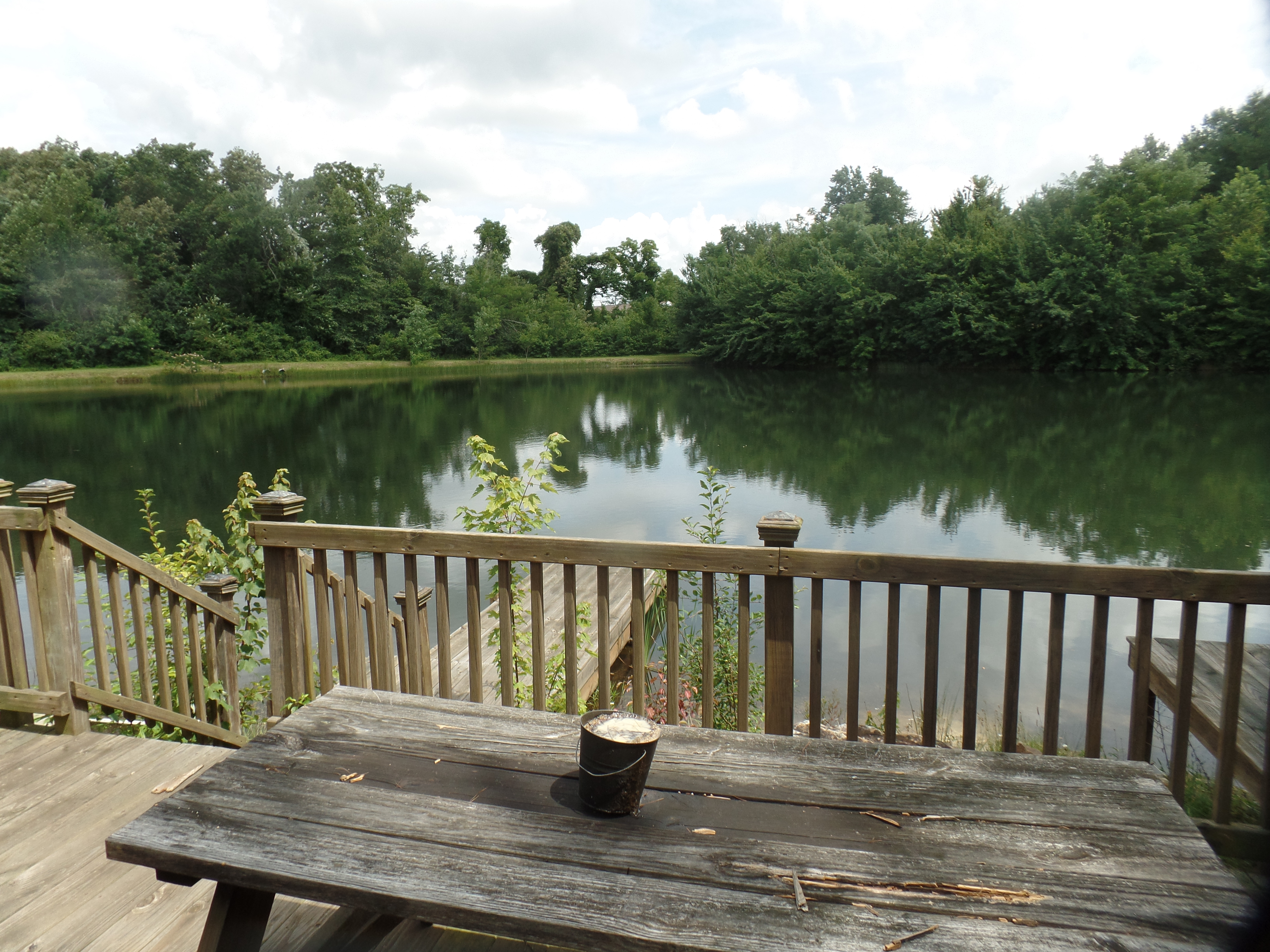 SAMSUNG CAMERA PICTURES