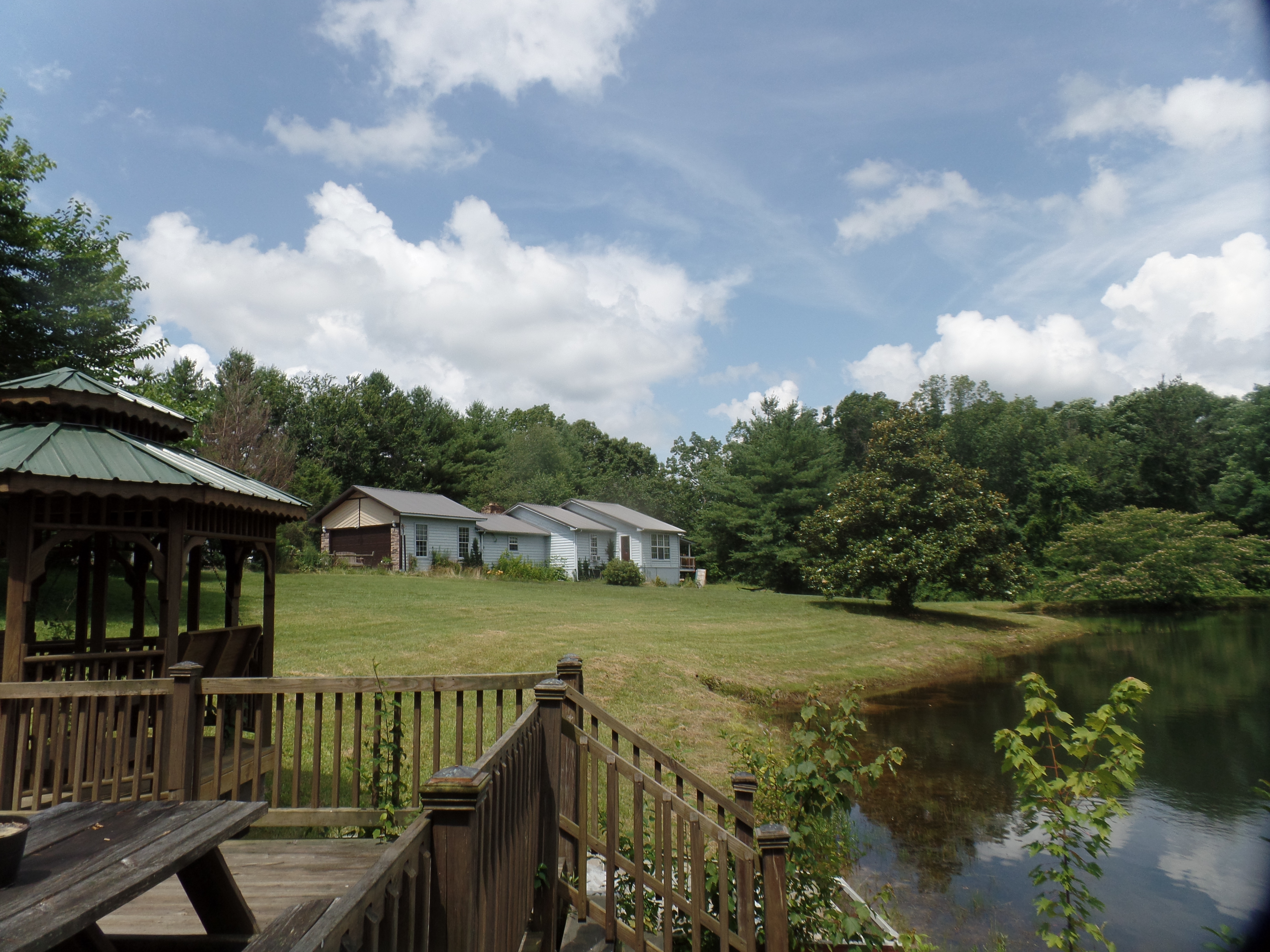 SAMSUNG CAMERA PICTURES