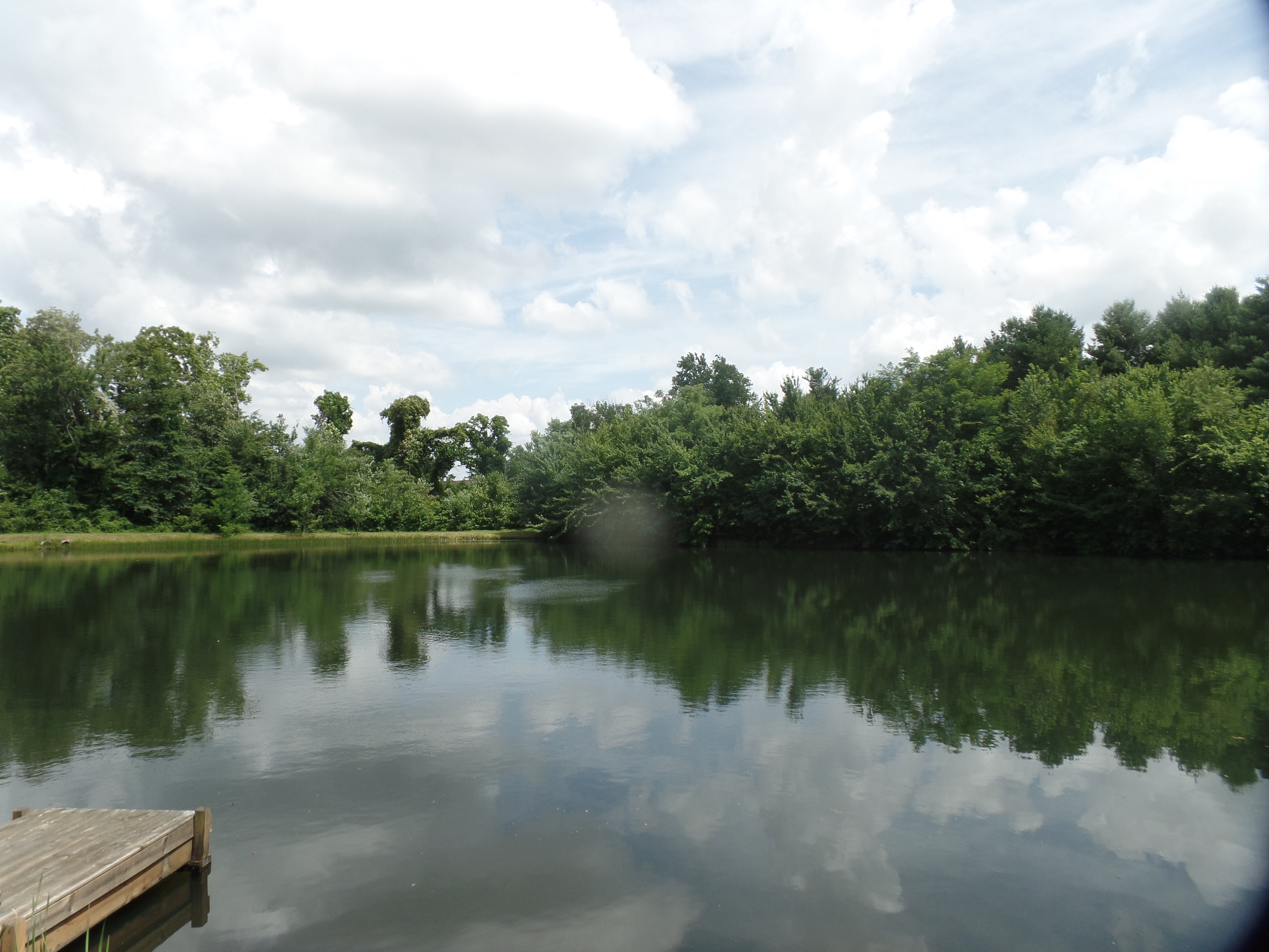 SAMSUNG CAMERA PICTURES