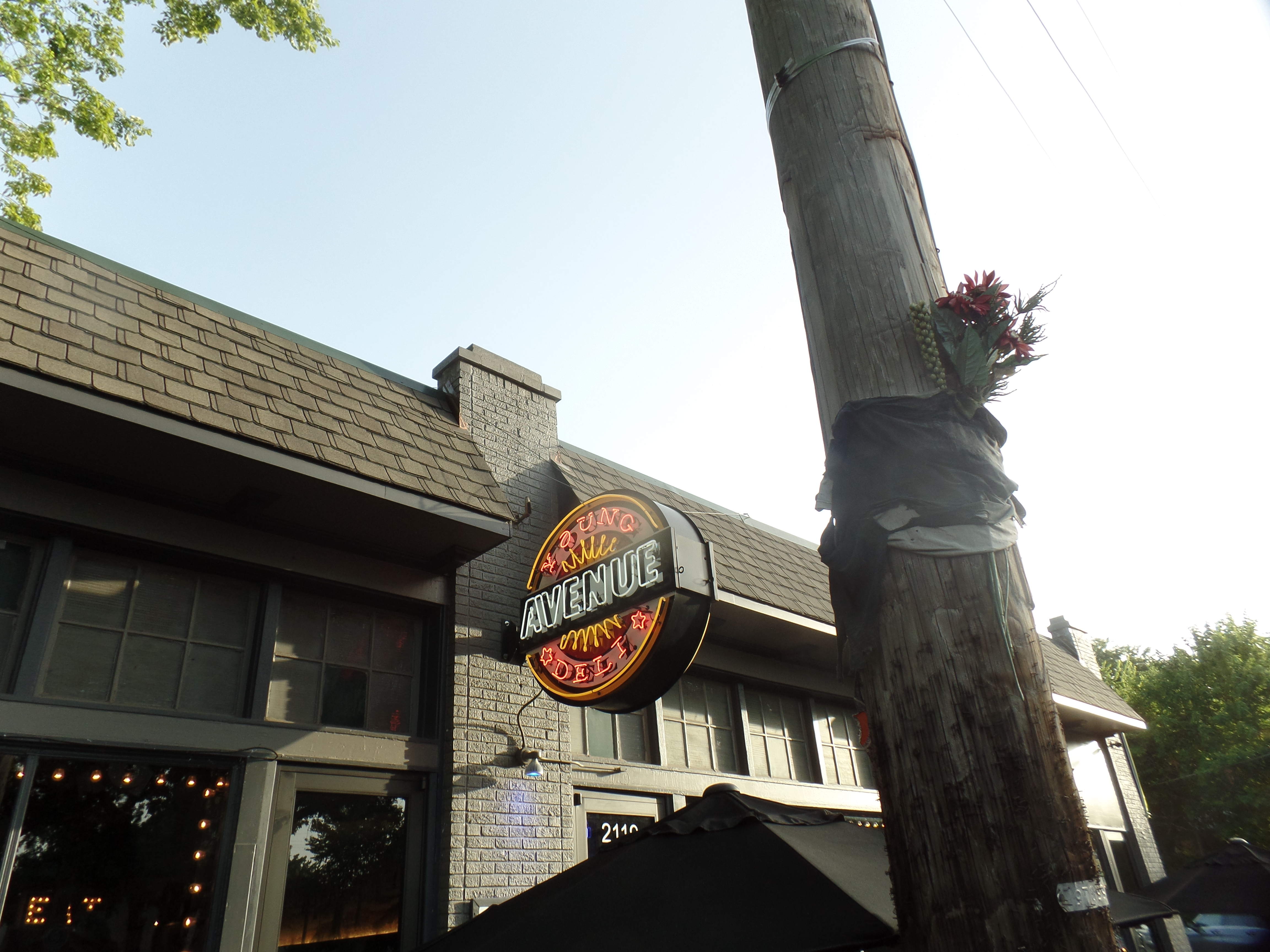 SAMSUNG CAMERA PICTURES