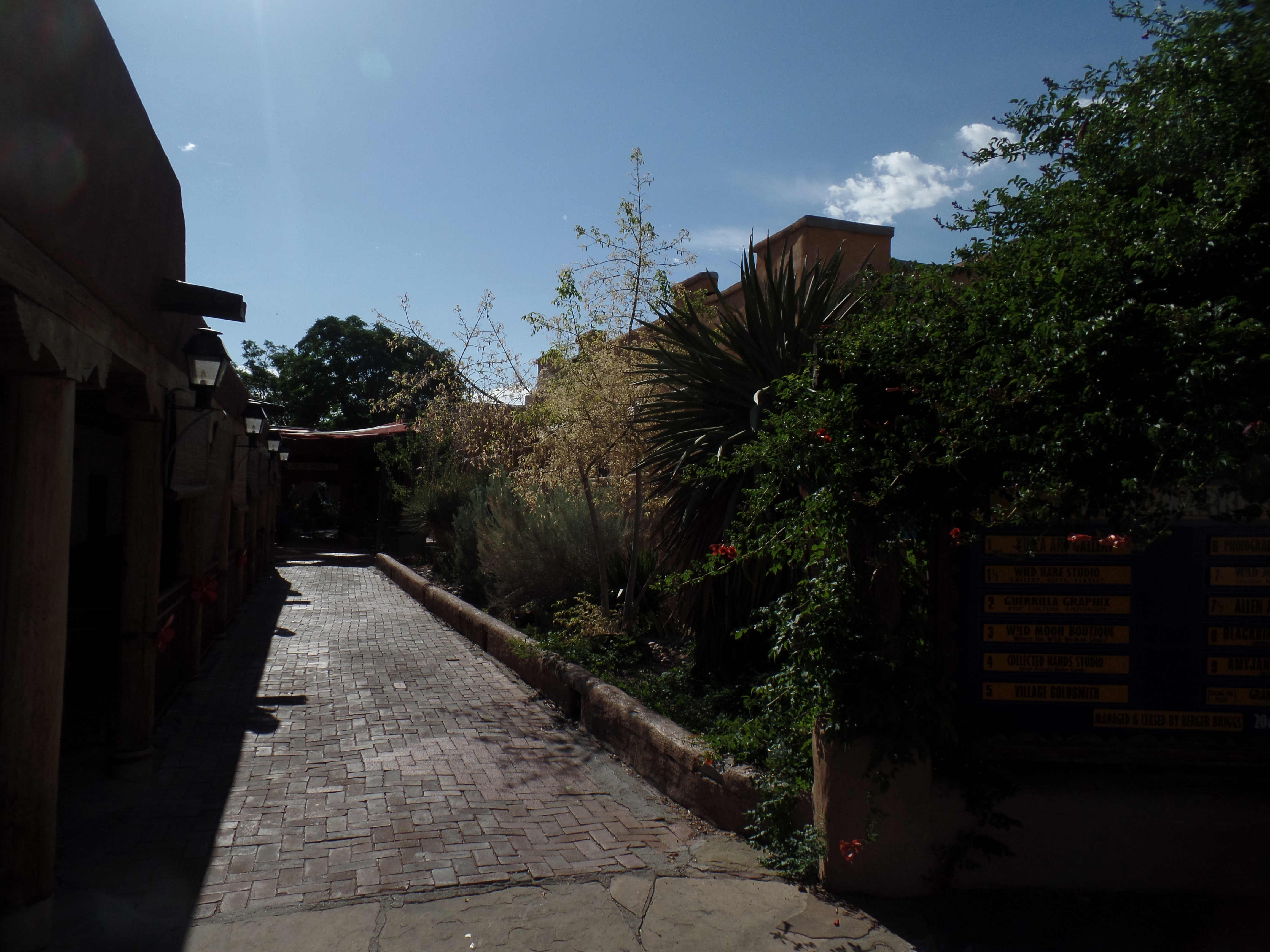 SAMSUNG CAMERA PICTURES