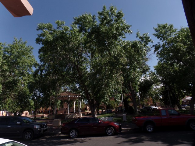 SAMSUNG CAMERA PICTURES