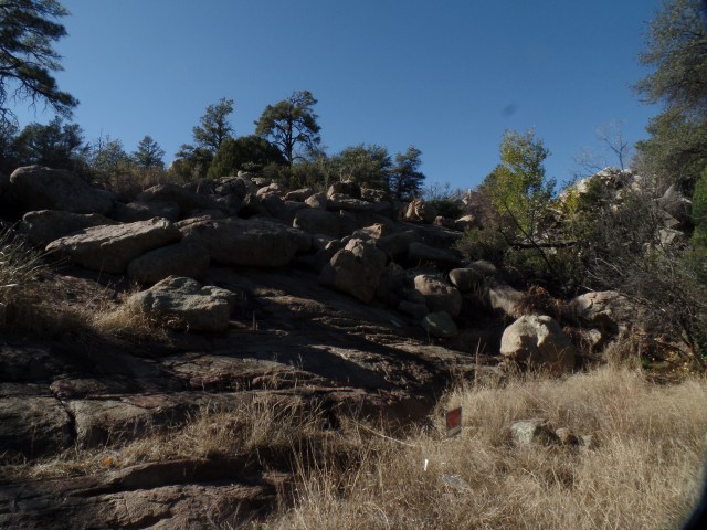 SAMSUNG CAMERA PICTURES